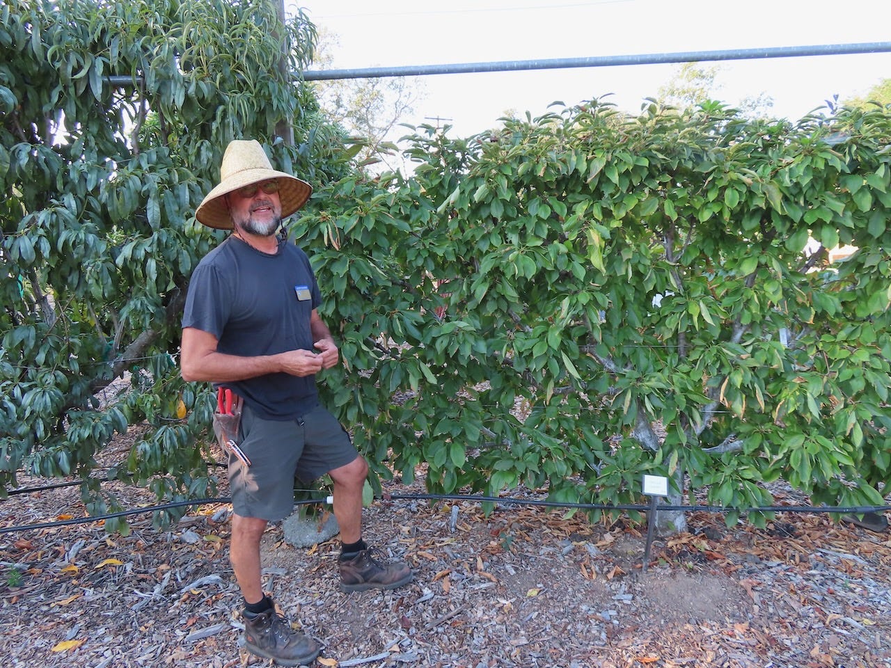 Beyond the Garden Basics Podcast
