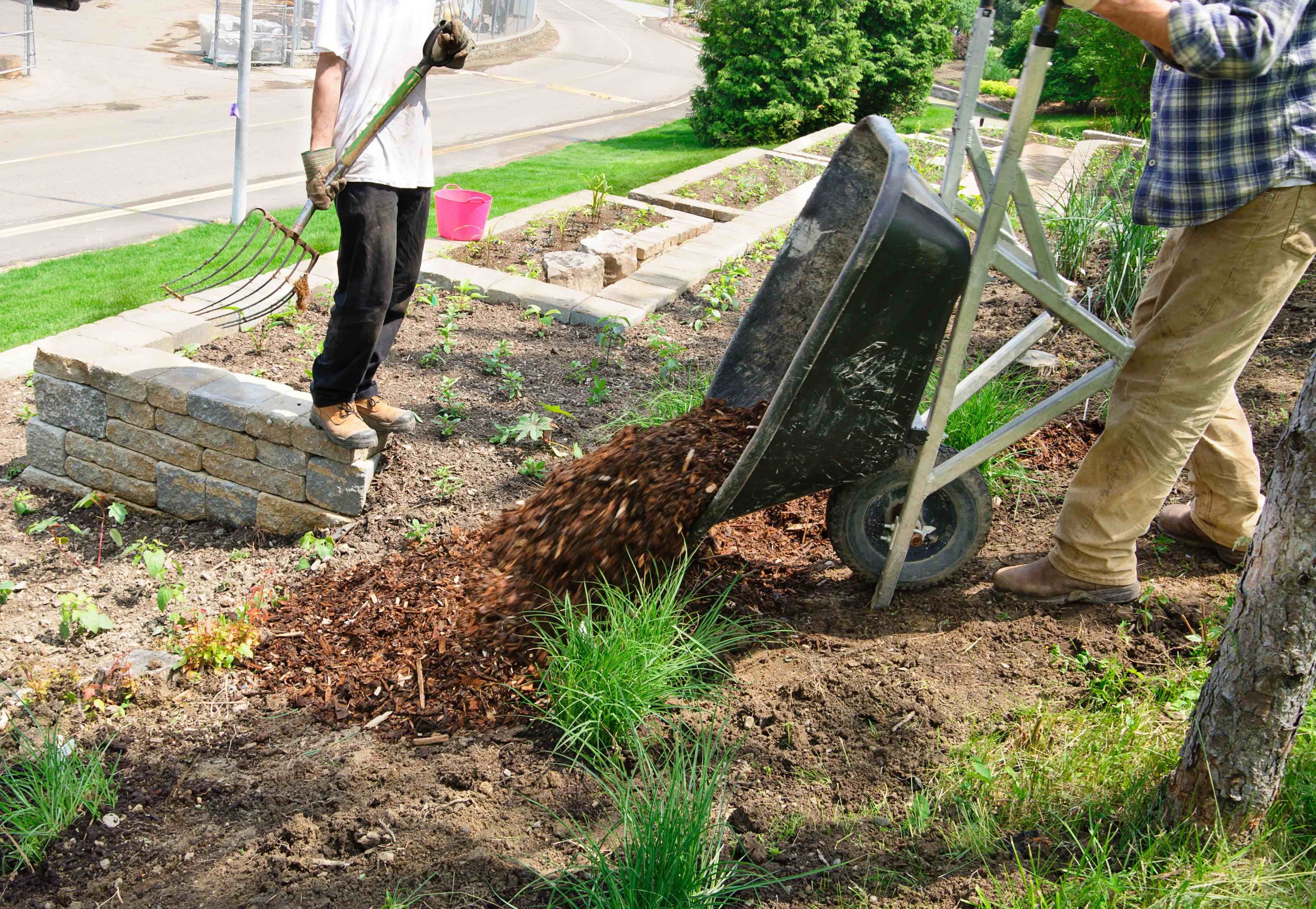 Beyond the Garden Basics Podcast