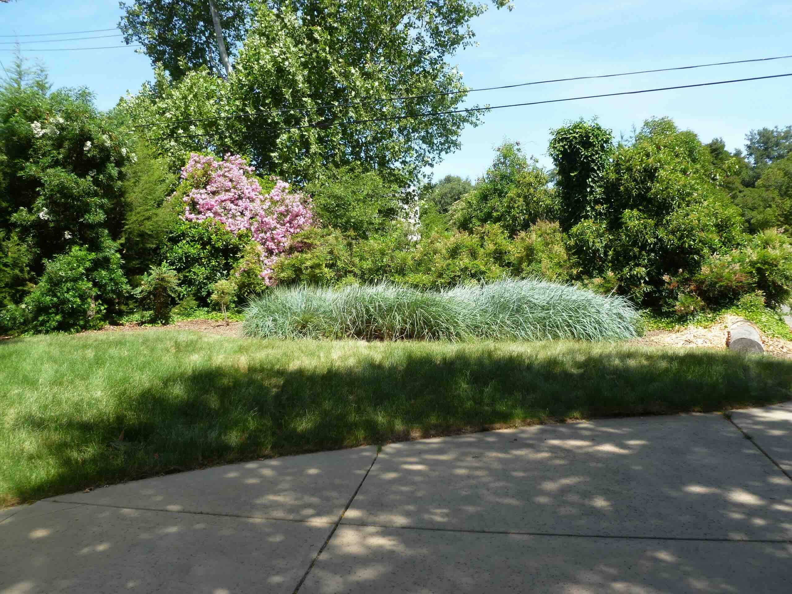 Beyond the Garden Basics Podcast