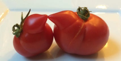 What Causes Odd-Looking Vegetables?