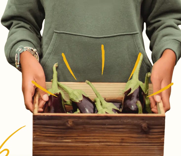 "How Am I Going to Feed My Family?"