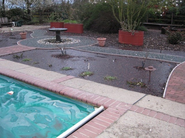Rain-Draining Strategies for Your Yard and Garden