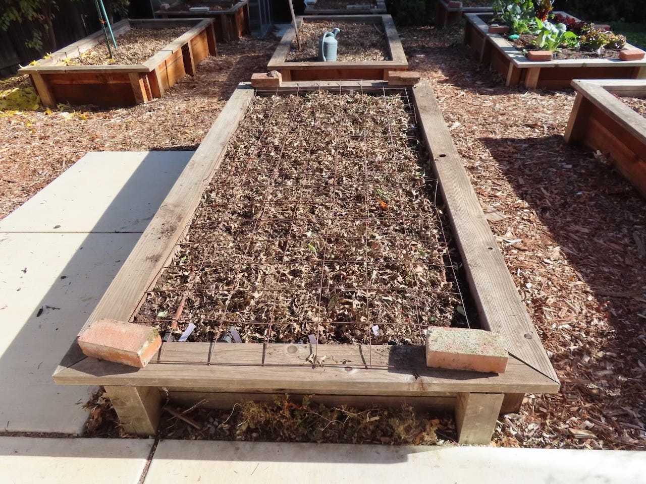 Winter Garden Cleanup Tips