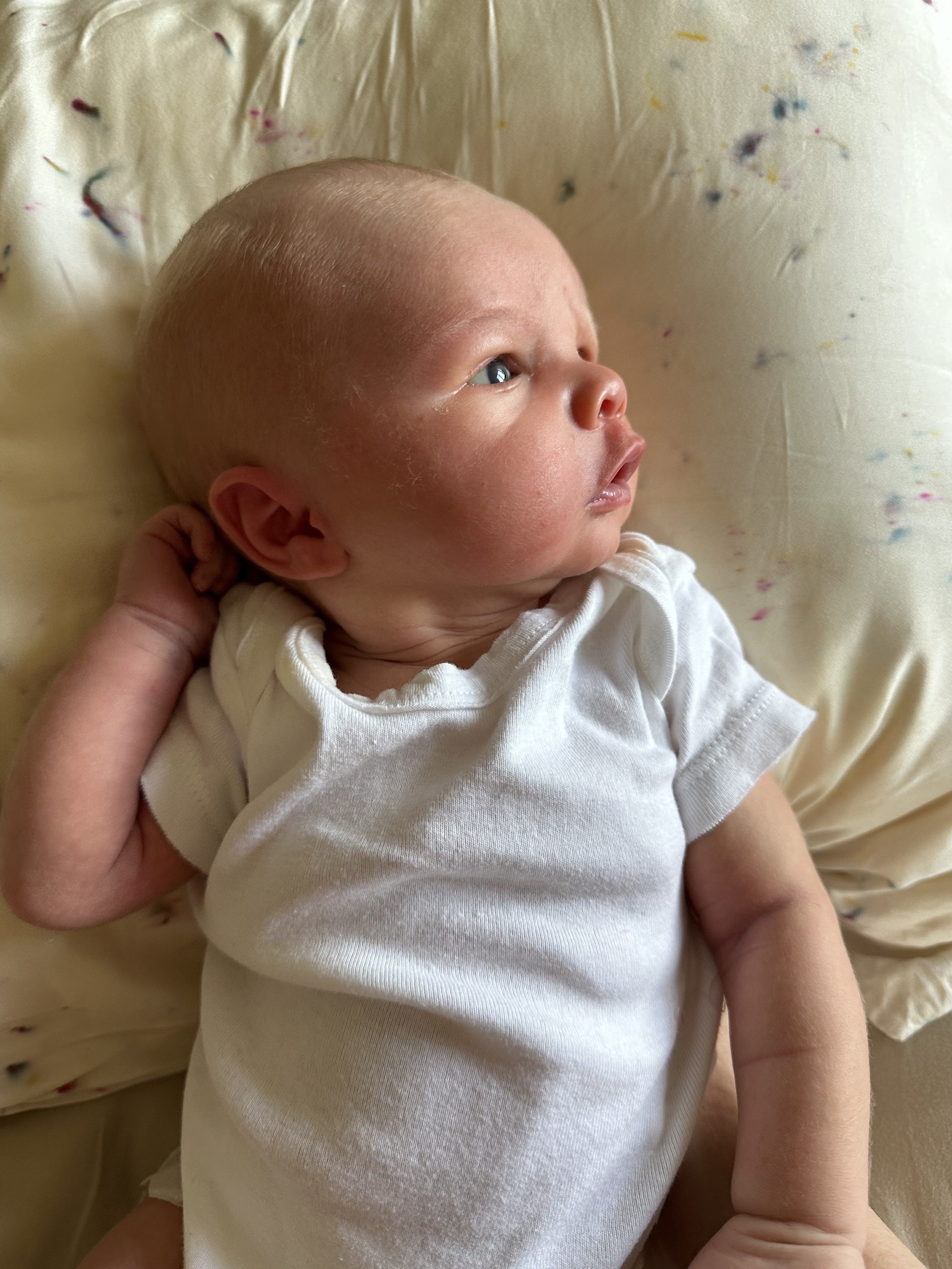 Before My Next Baby: Everything I'd Do Differently in Pregnancy & Postpartum episode artwork