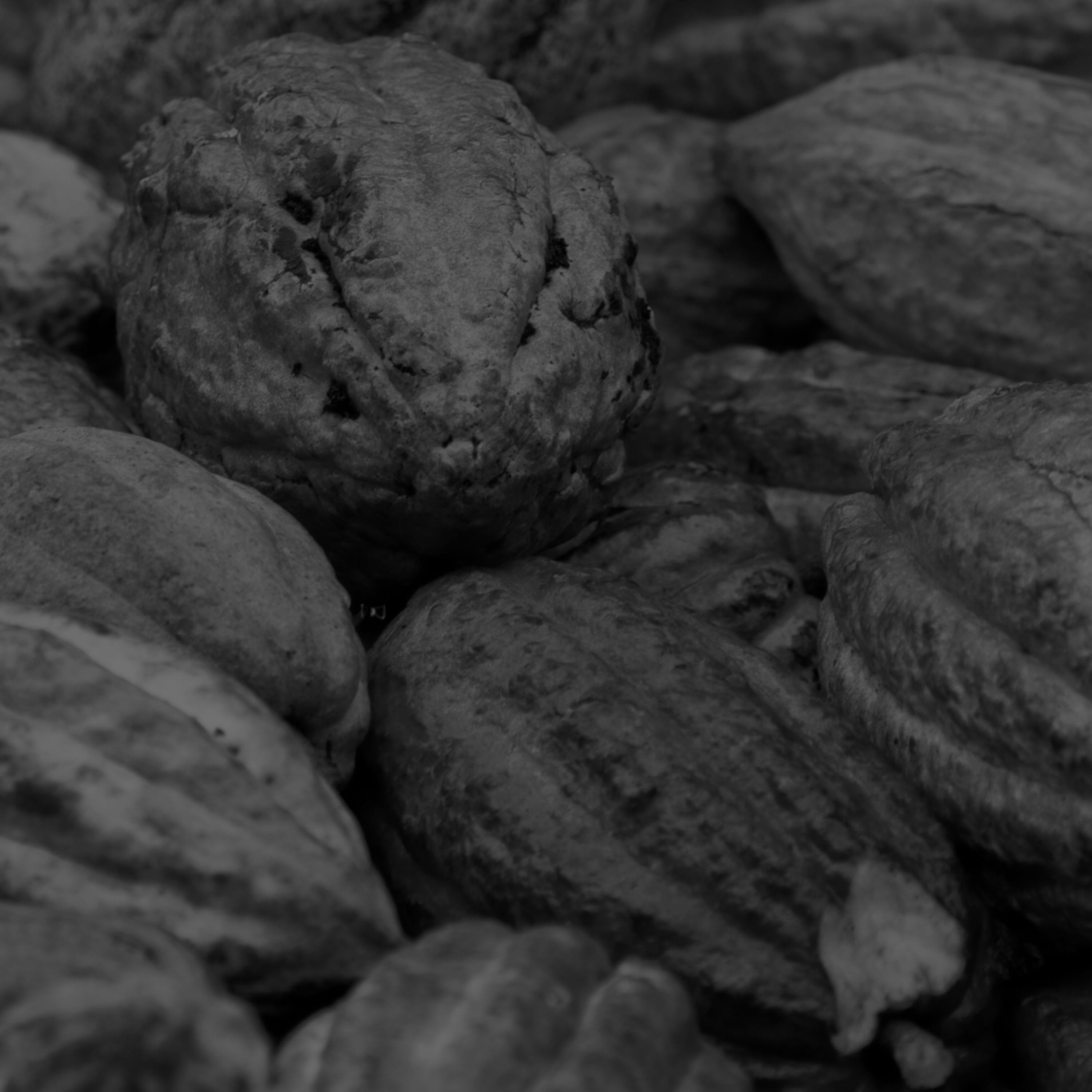 Global cocoa industry episode artwork