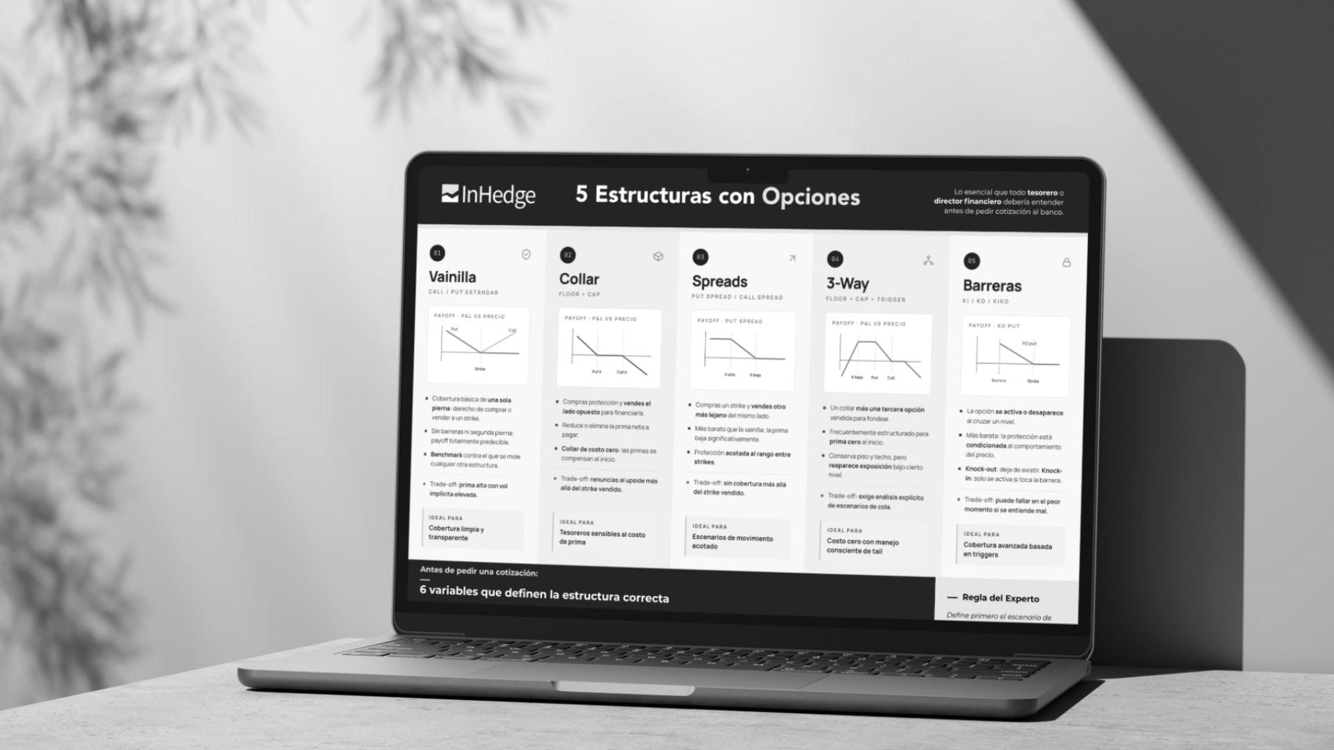 Five options structures for hedging | InHedge episode artwork