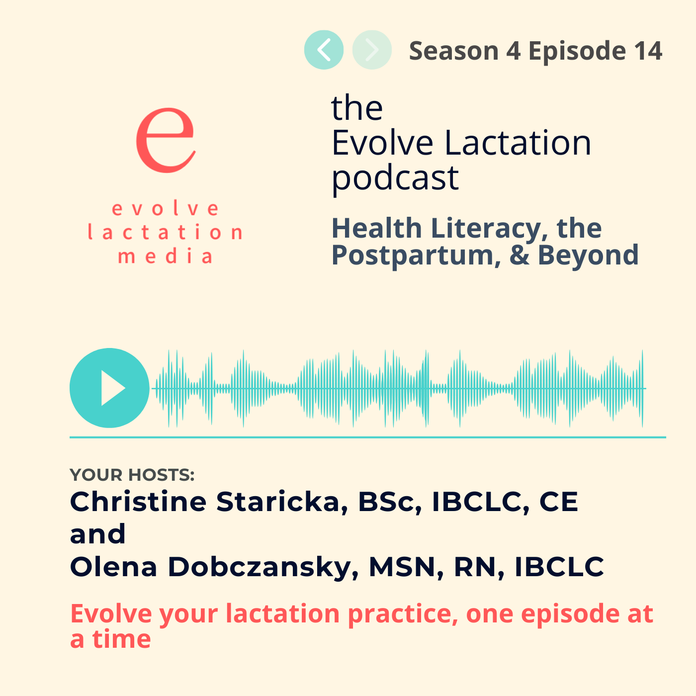 Podcast | Health Literacy, the Postpartum, and Beyond