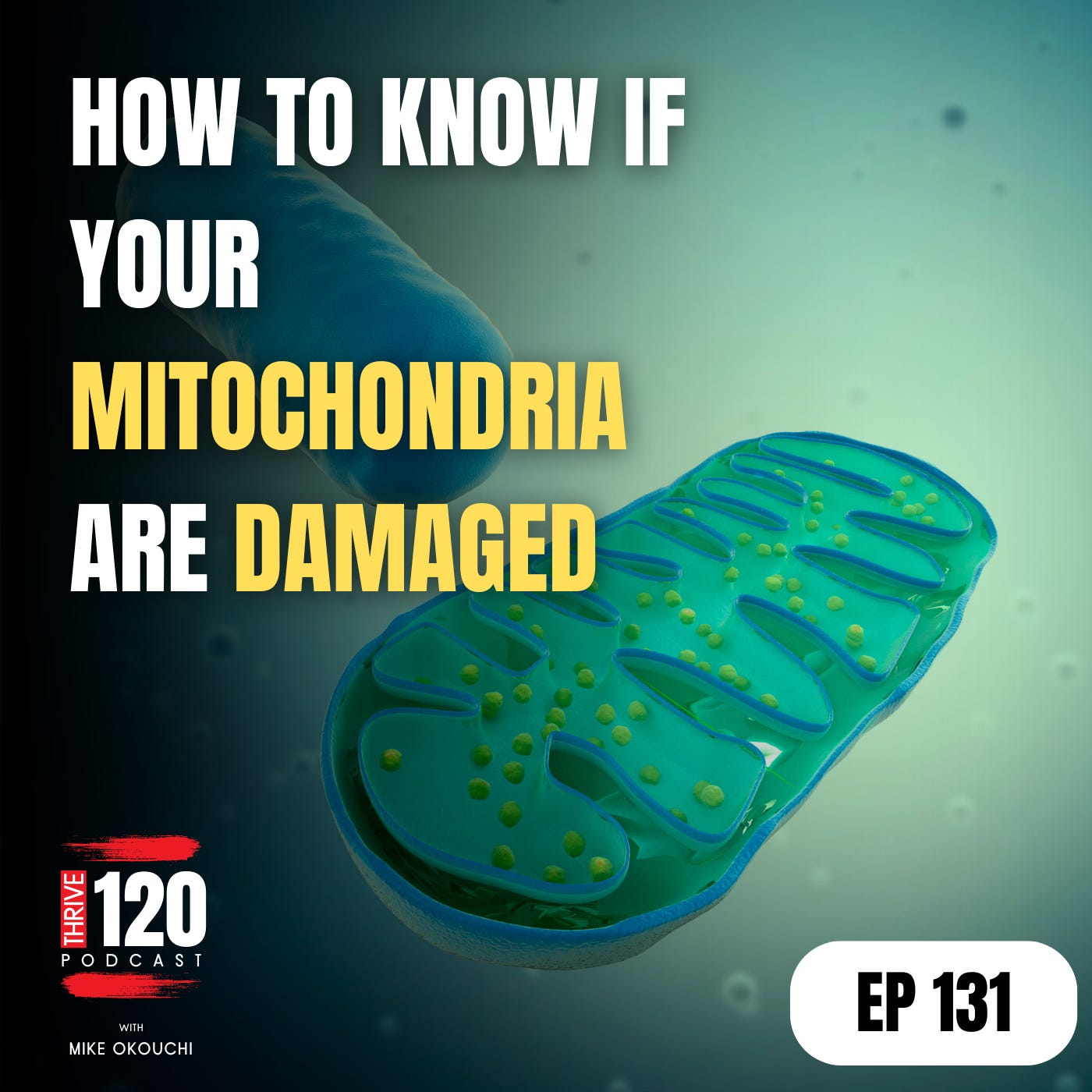 EP 131: How to tell if your Mitochondria are damaged