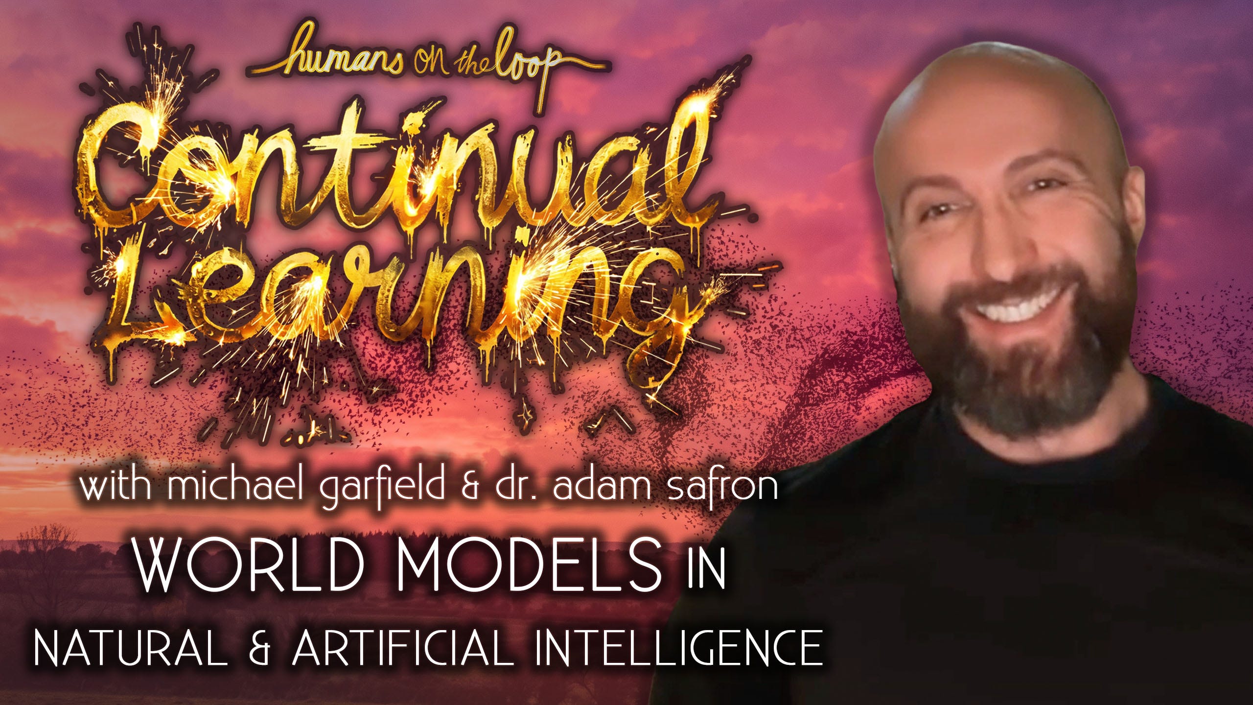 Continual Learning: World Models in Natural & Artificial Intelligence with Adam Safron episode artwork