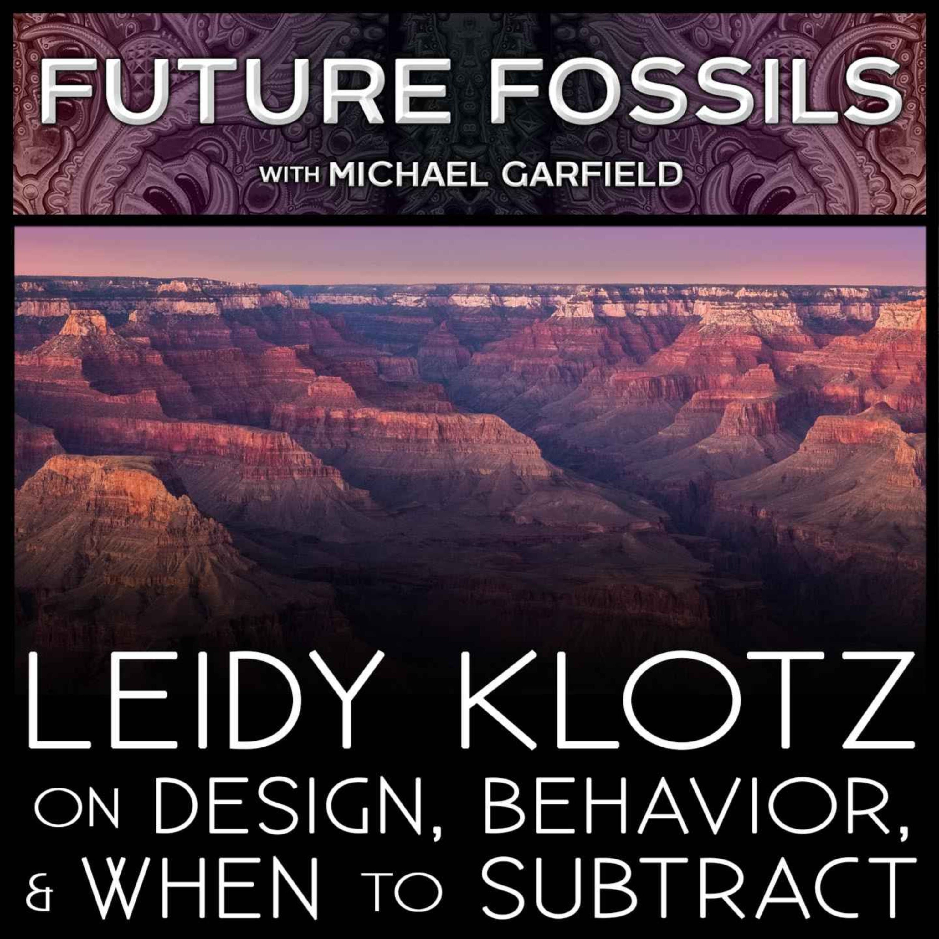 169 - Leidy Klotz on Design, Behavior, and When to Subtract