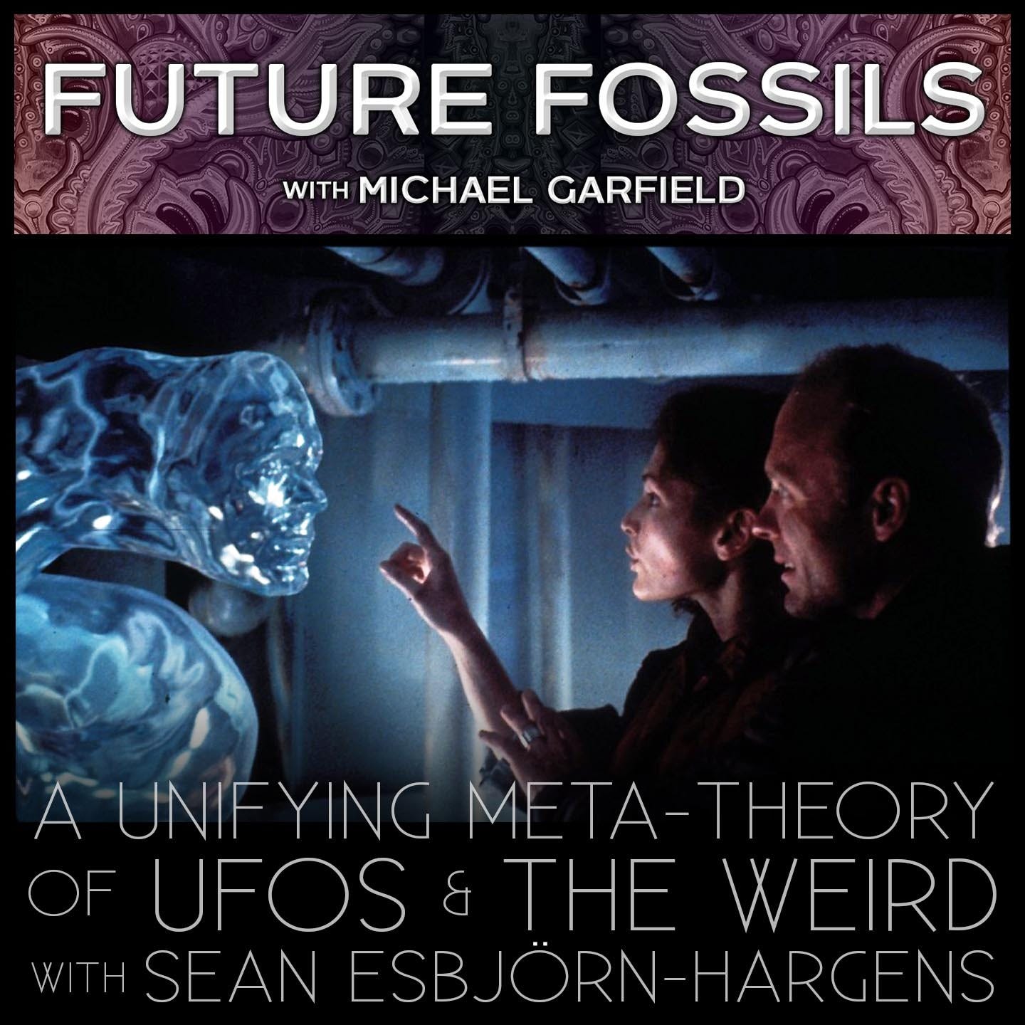 150 - A Unifying Meta-Theory of UFOs & The Weird with Sean Esbjörn-Hargens