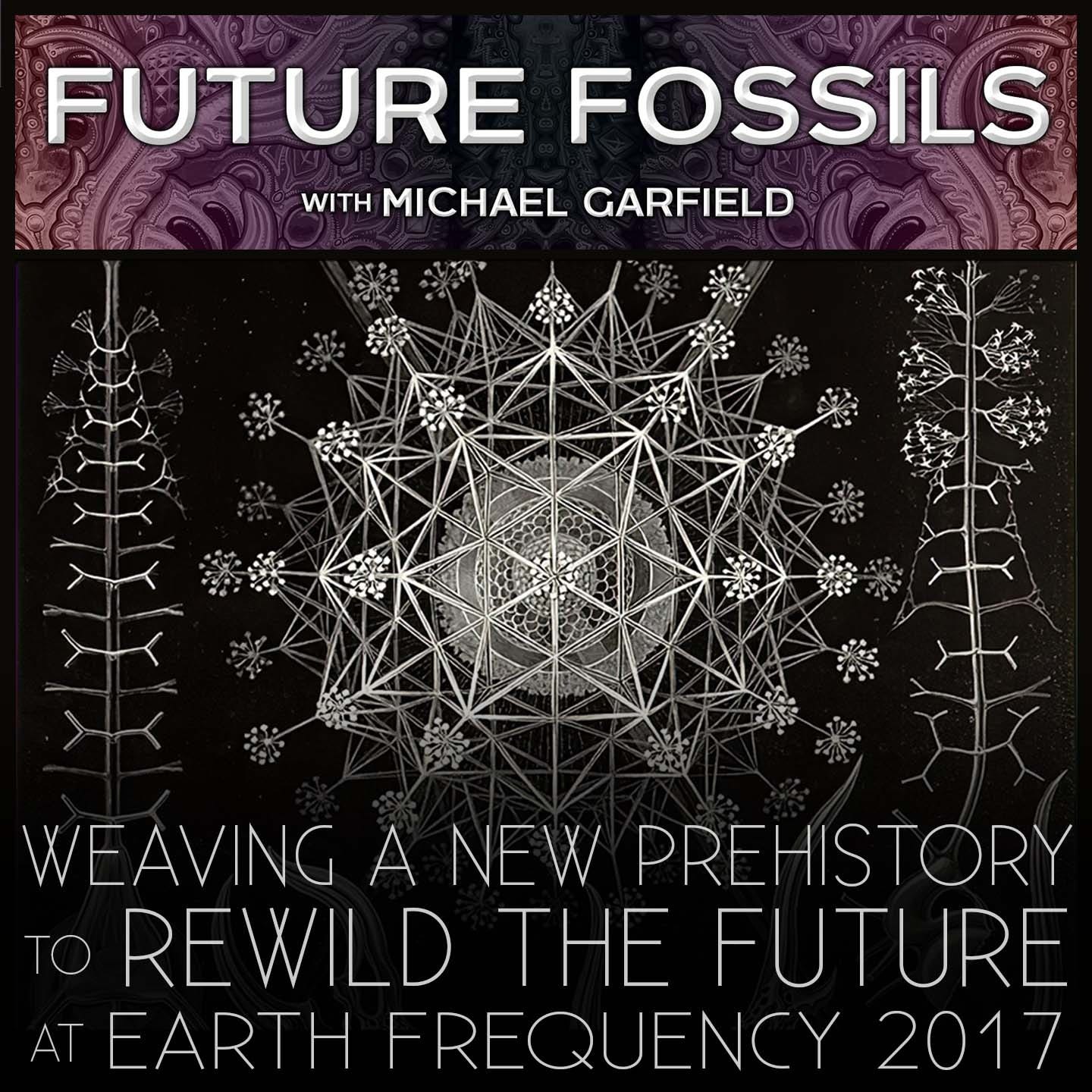 145 - Weaving A New Prehistory to Rewild The Future - Michael Garfield at Earth Frequency Festival 2017