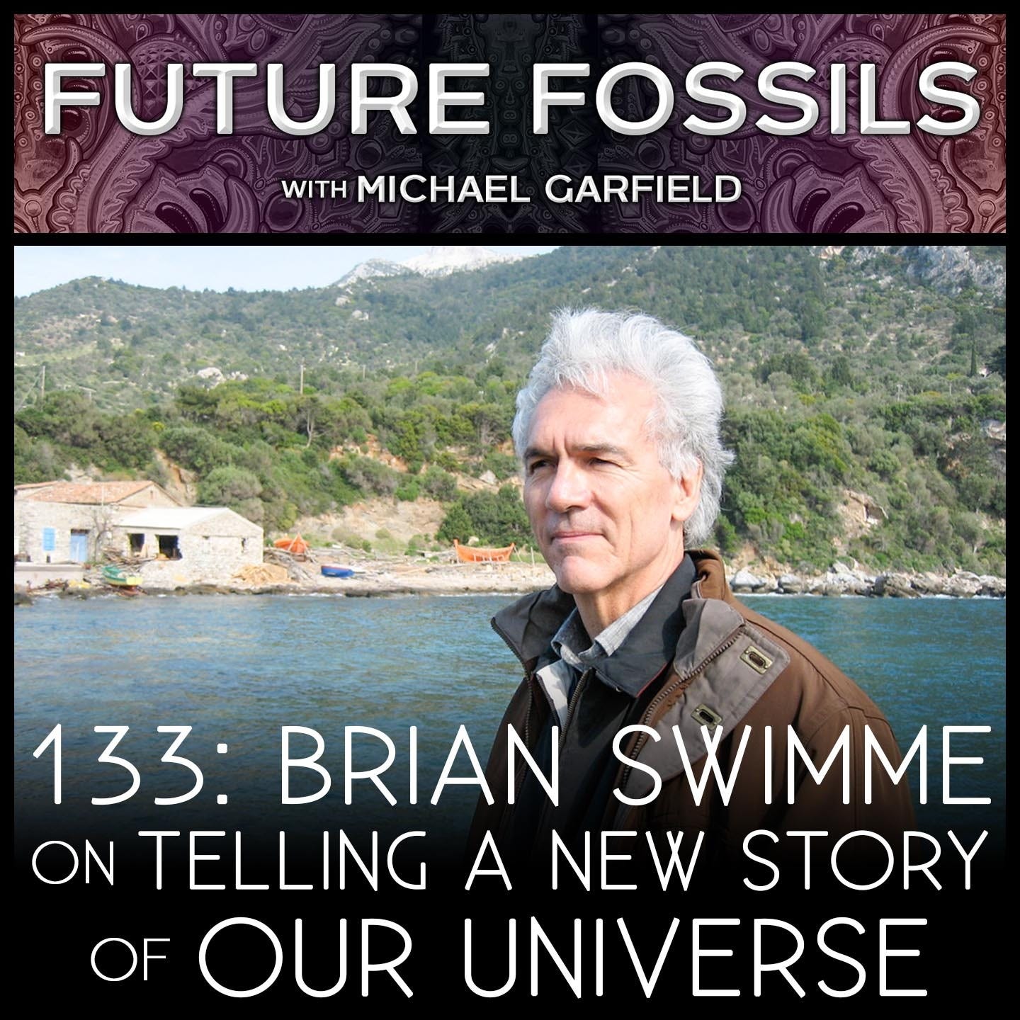 133 - Brian Swimme on Telling A New Story of Our Universe