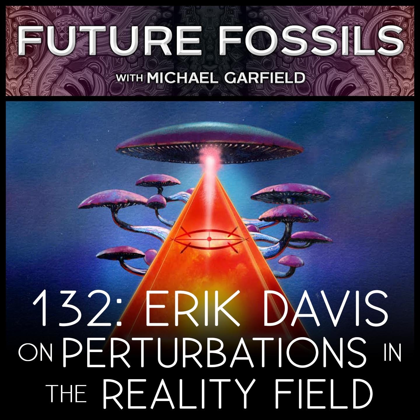 132 - Erik Davis on Perturbations in the Reality Field