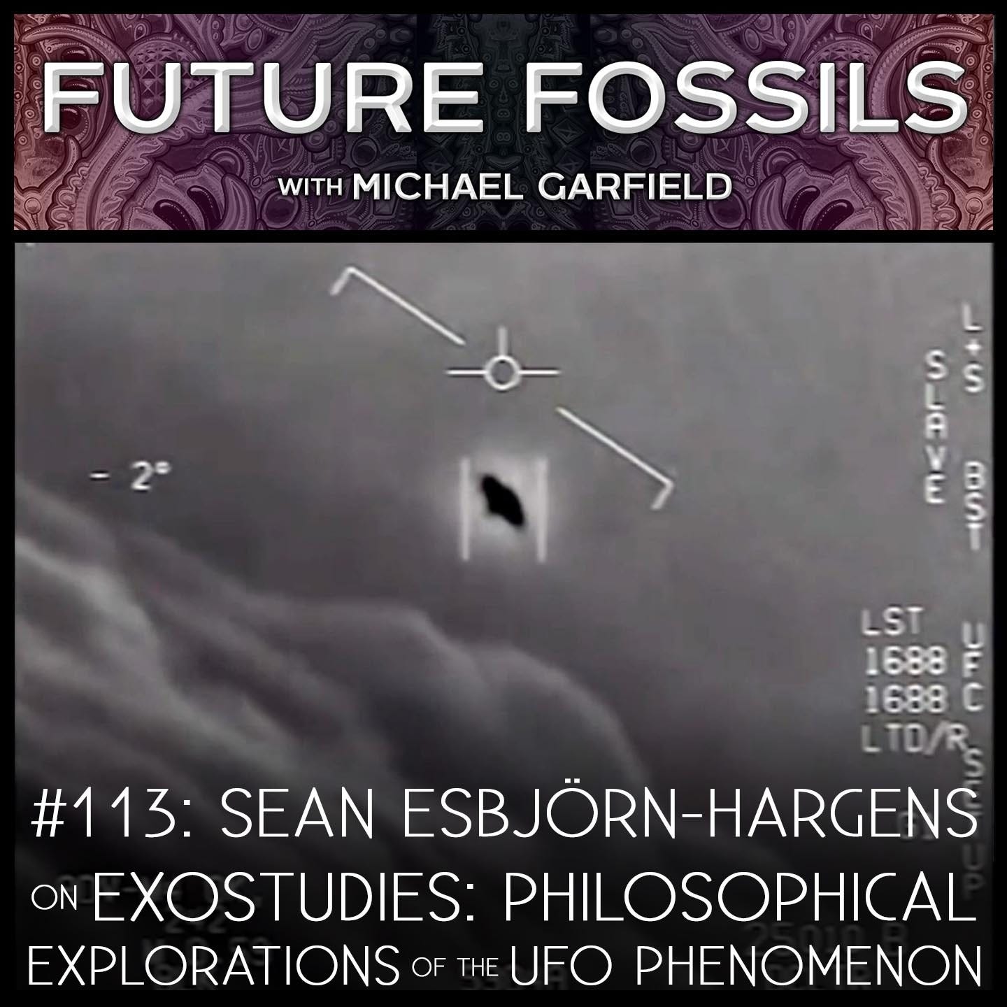 113 - Sean Esbjörn-Hargens on Exostudies: Philosophical Explorations of the UFO Phenomenon
