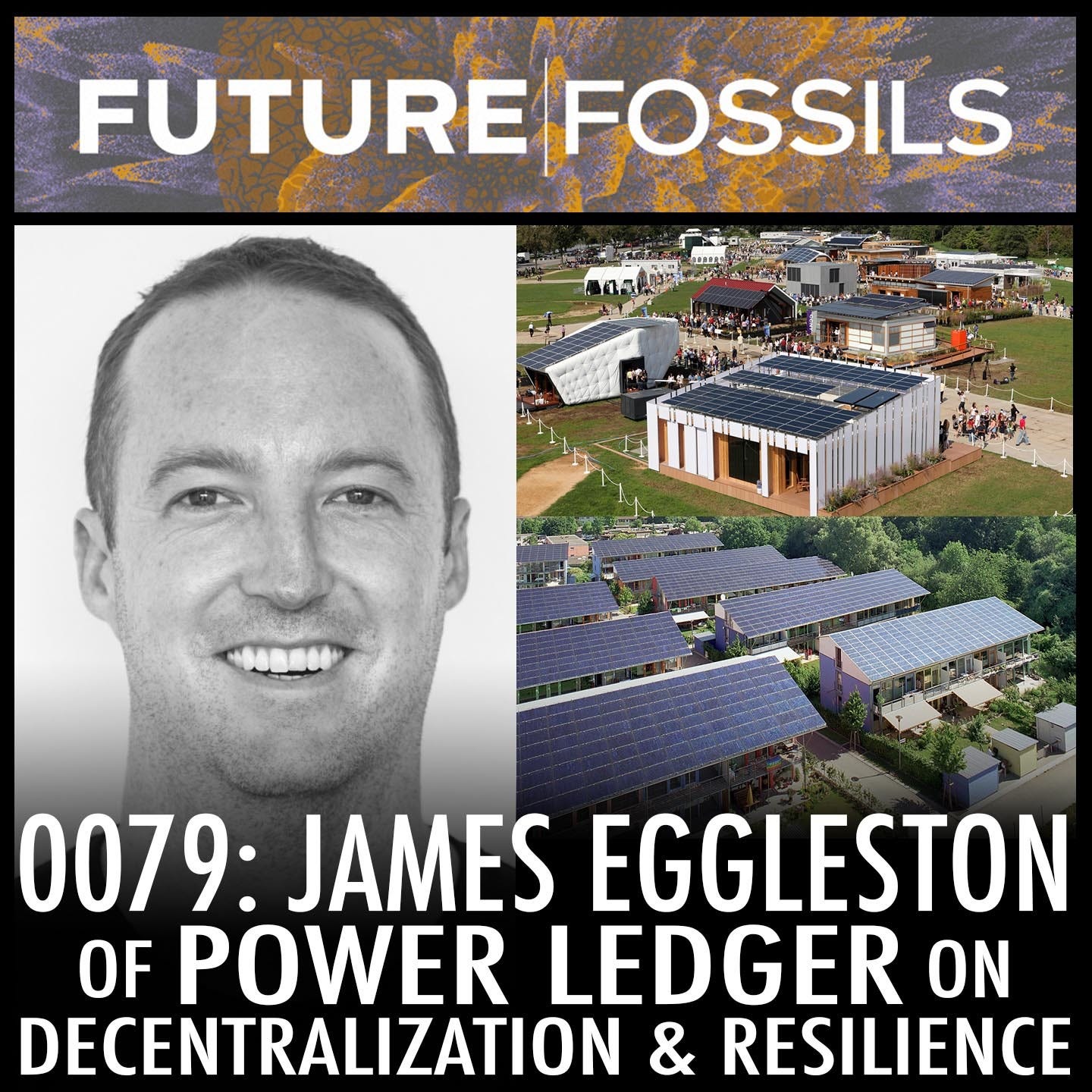 79 - James Eggleston of Power Ledger on Decentralization & Resilience