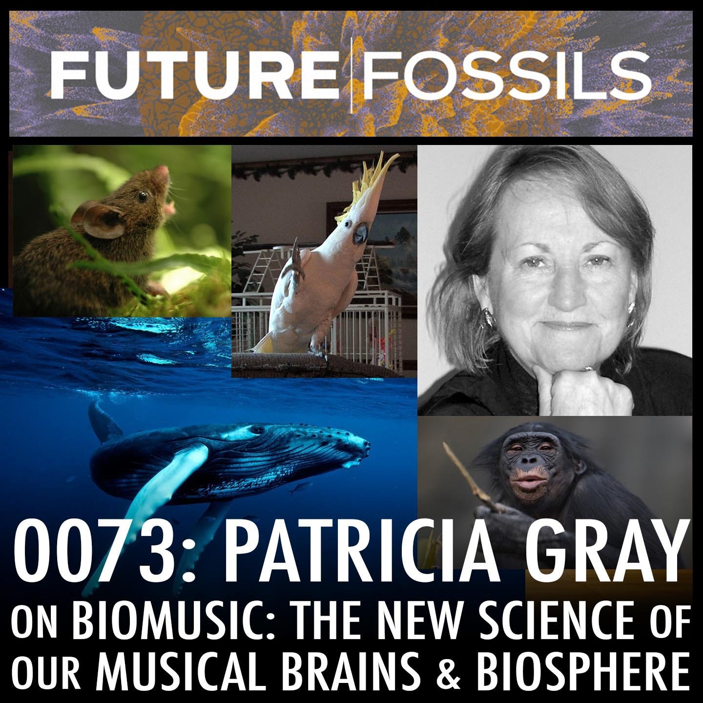 73 - Patricia Gray on BioMusic, The New Science of Our Musical Brains & Biosphere