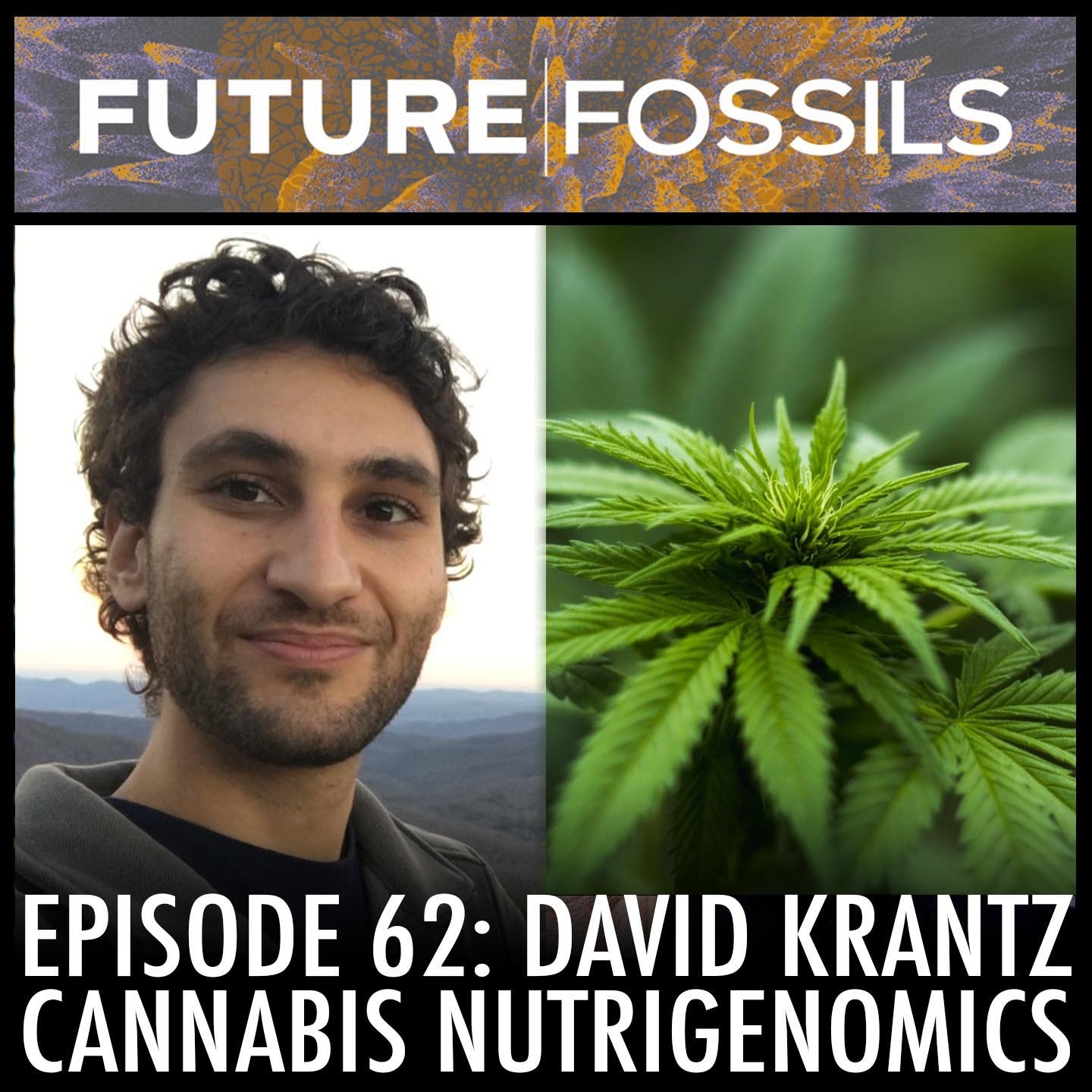 62 - David Krantz (Cannabis Nutrigenomics)