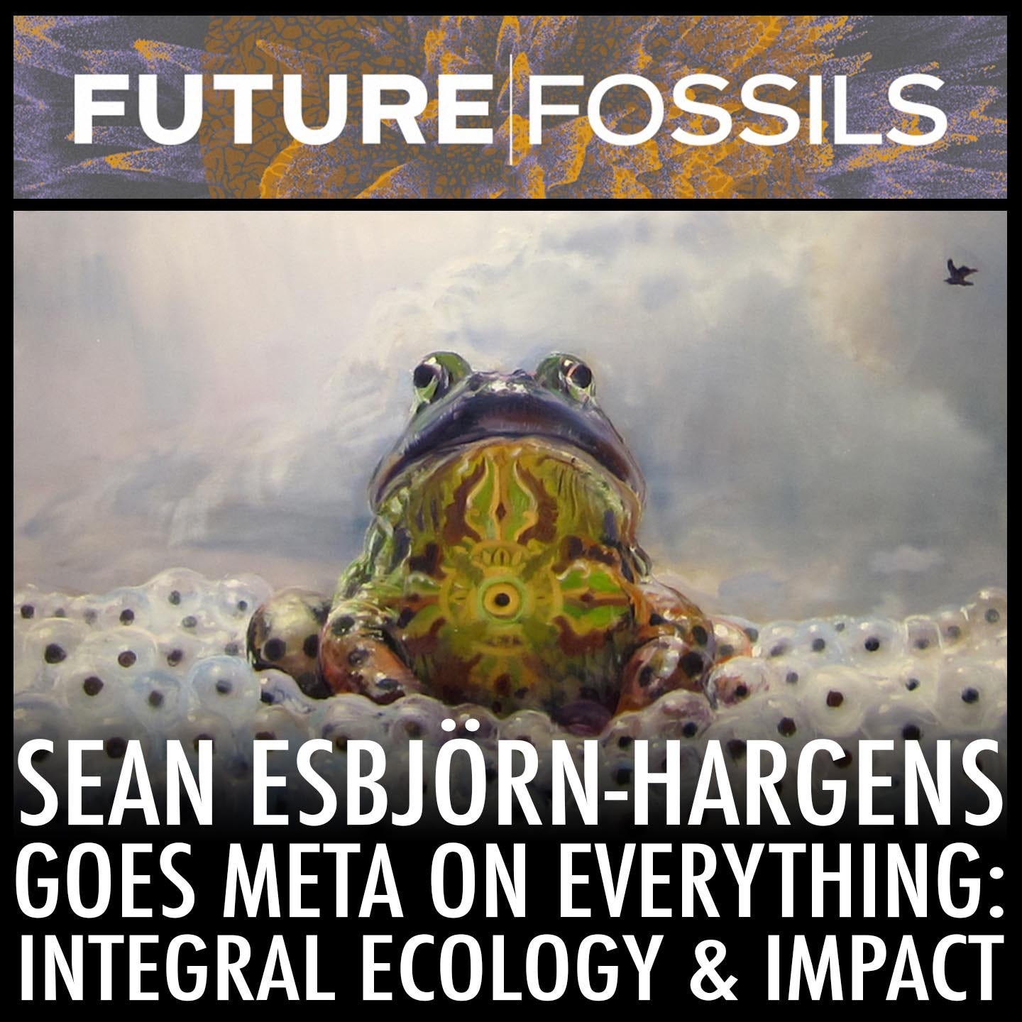 60 - Sean Esbjörn-Hargens Goes Meta on Everything: Integral Ecology & Impact