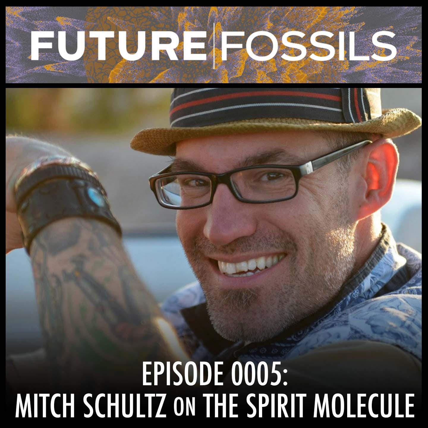 5 - Mitch Schultz (The Spirit Molecule)