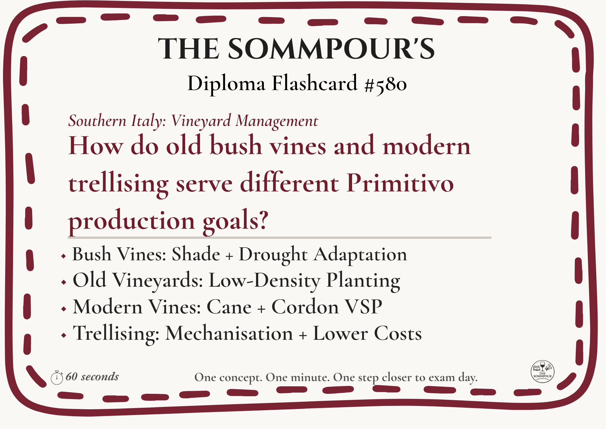 Diploma Flashcard #580: How do old bush vines and modern trellising serve different Primitivo production goals? episode artwork