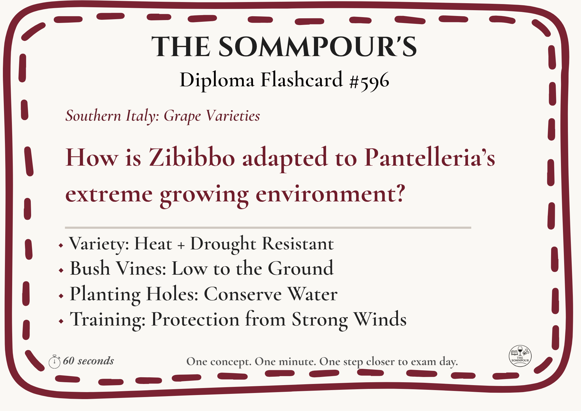 Diploma Flashcard #596: How is Zibibbo adapted to Pantelleria’s extreme growing environment? episode artwork