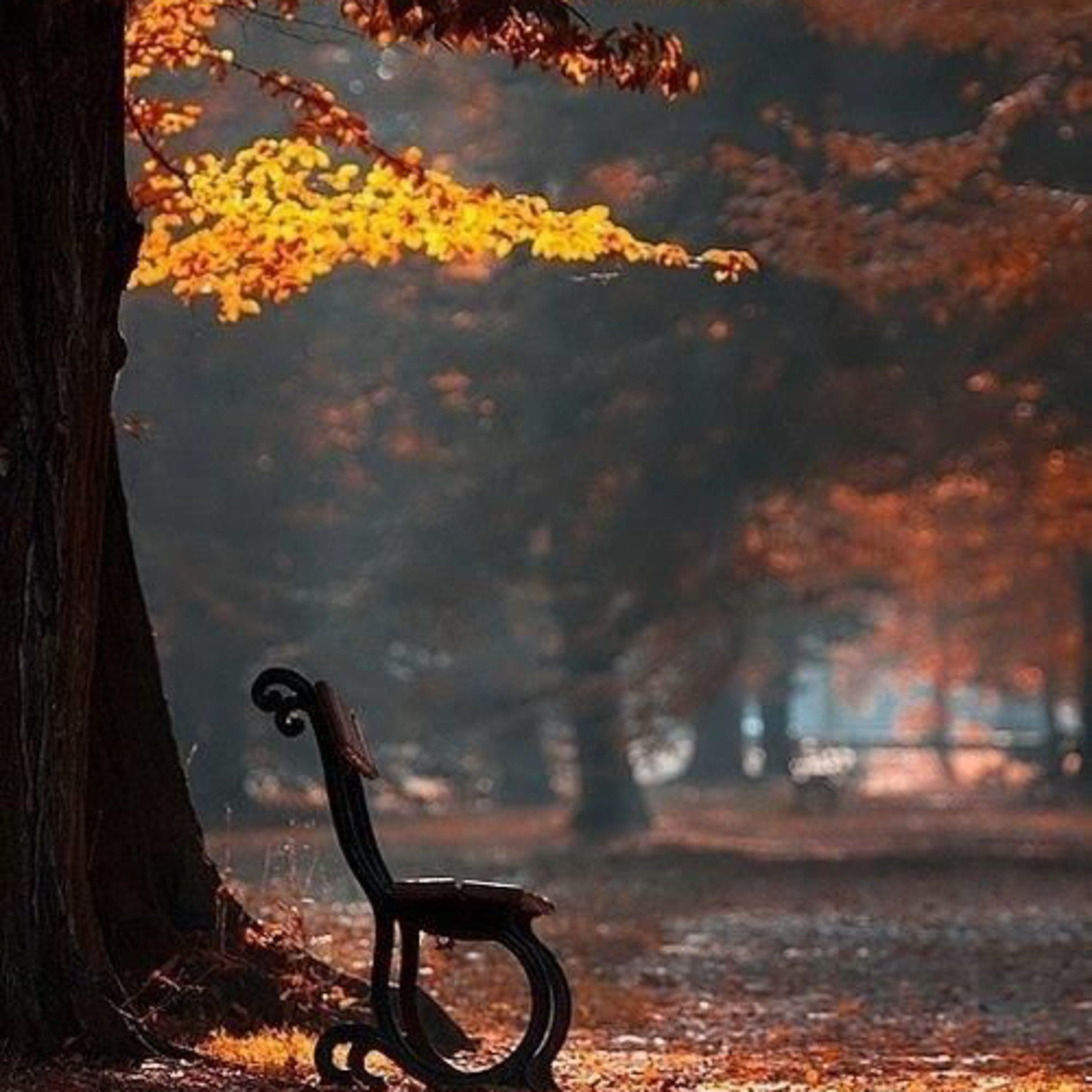 LET GO, LET GOD, LET LOVE