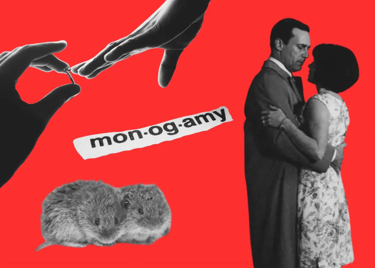 Monogamy is a feminist problem Monogamy is a feminist problem