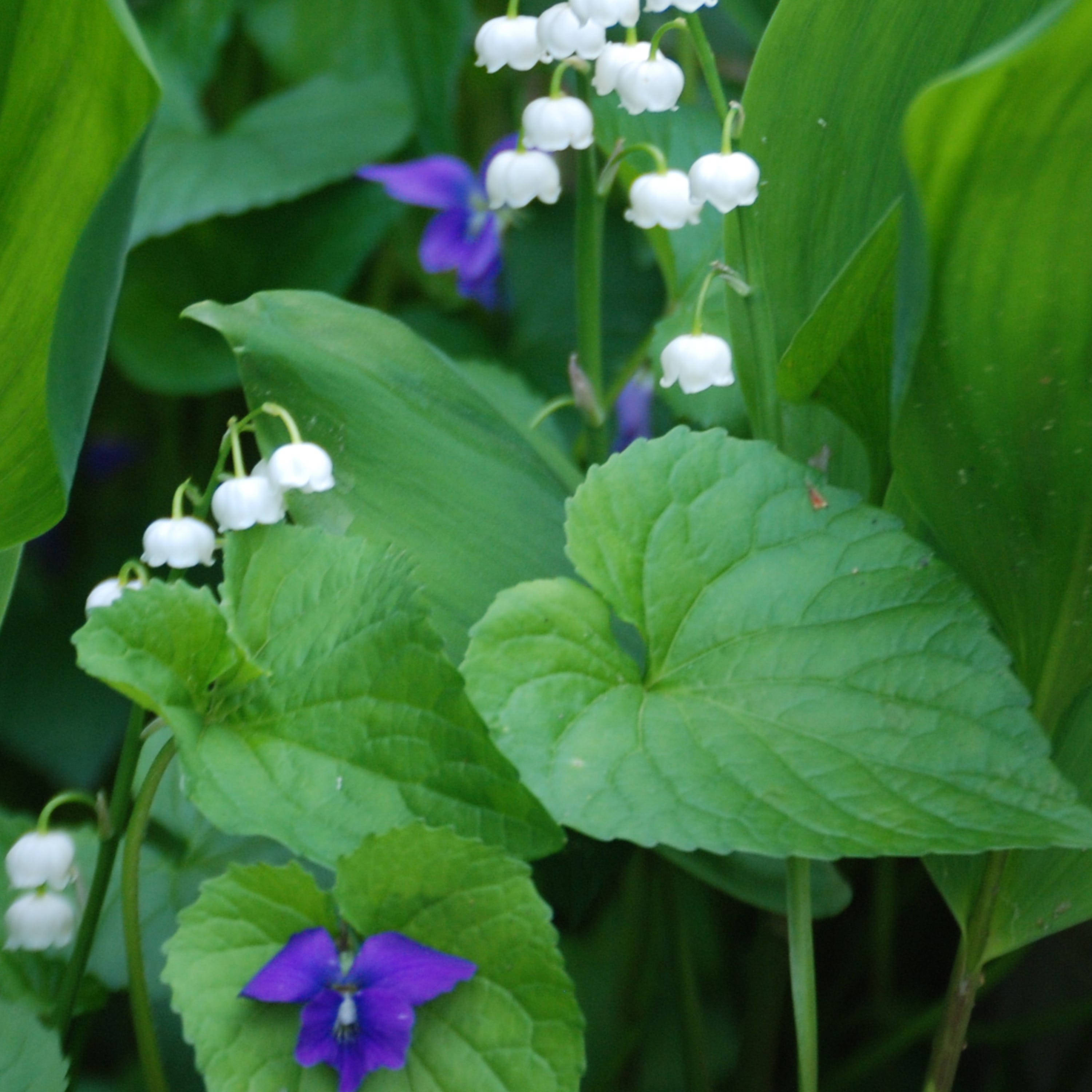 How are you feeling?