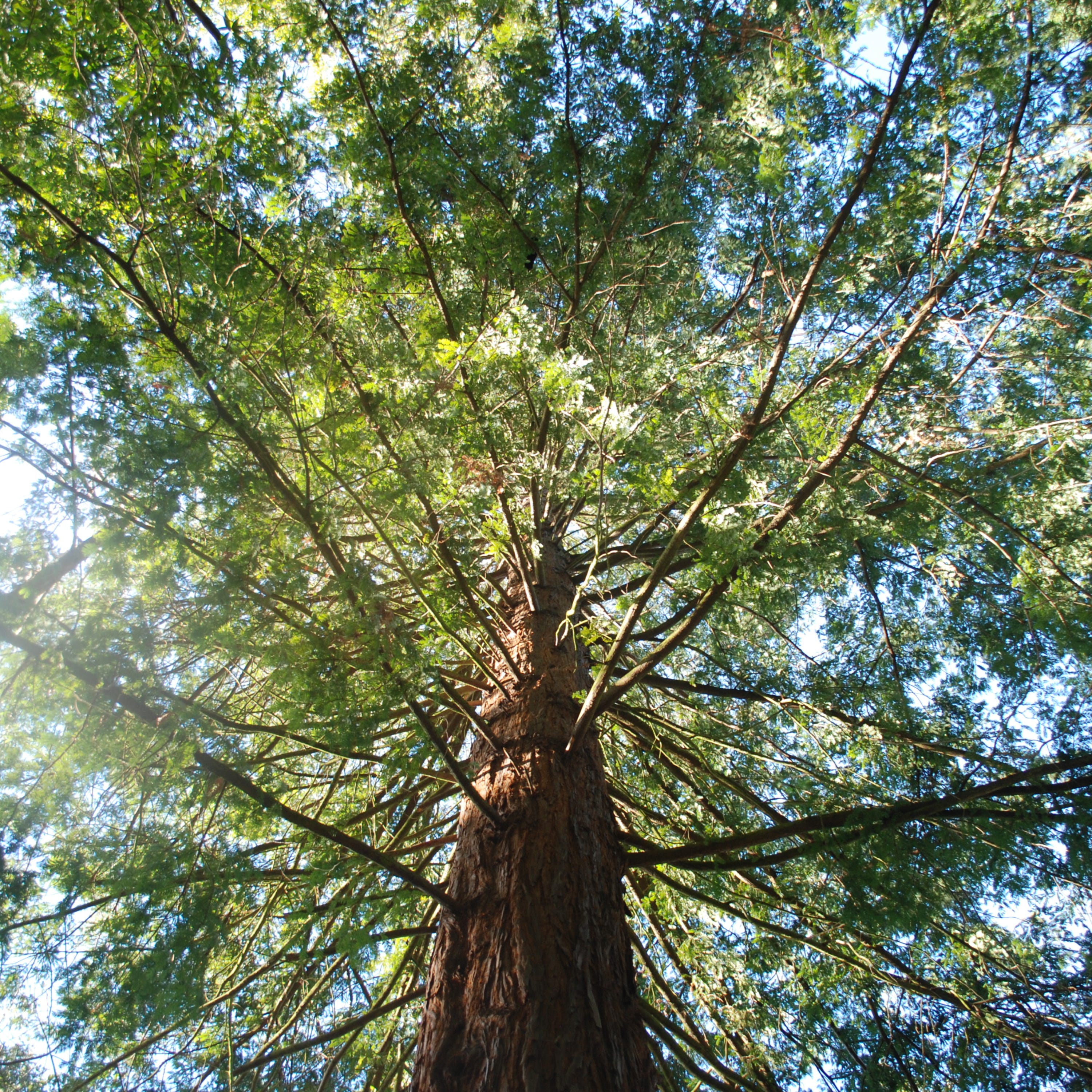 How are you feeling?