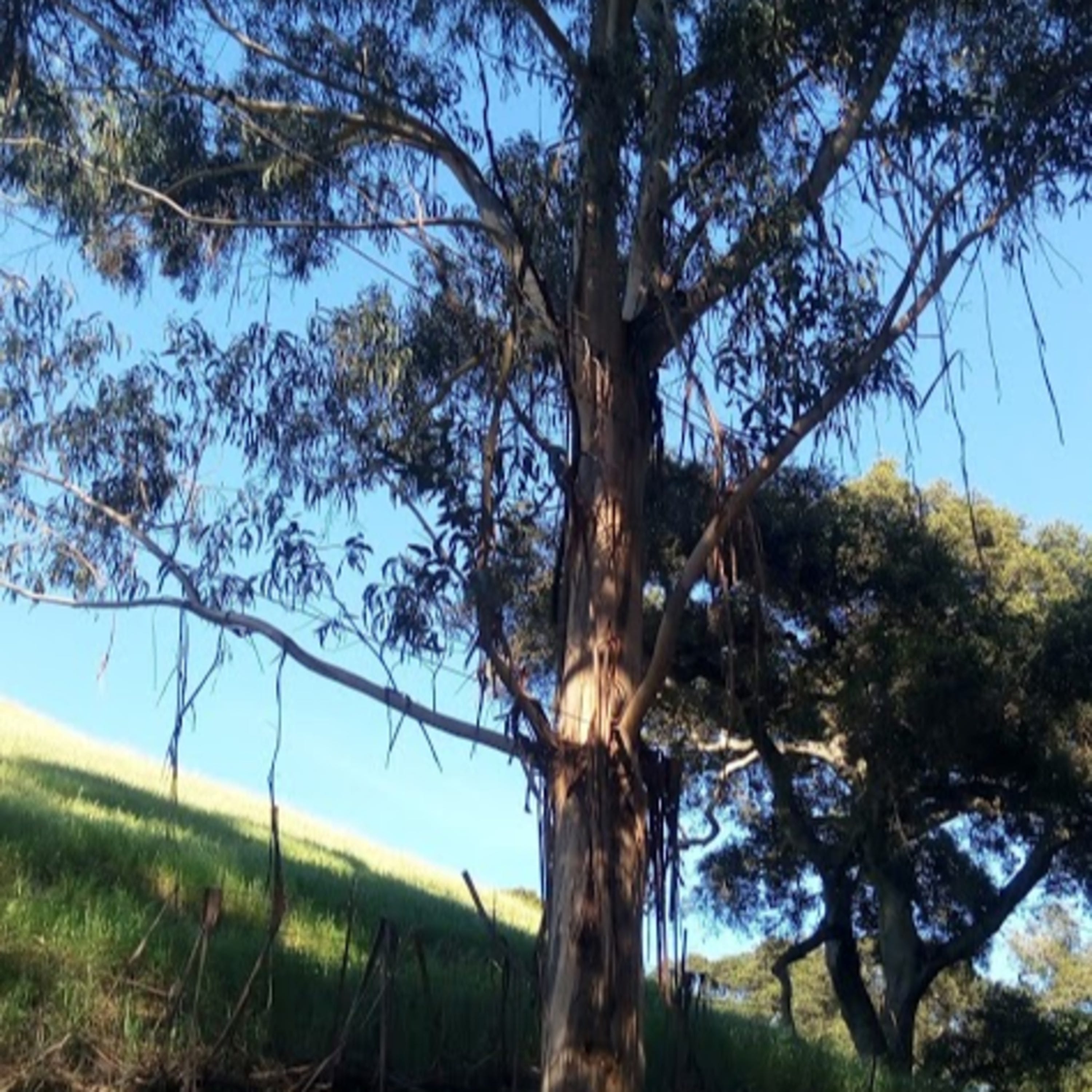 How are you feeling?