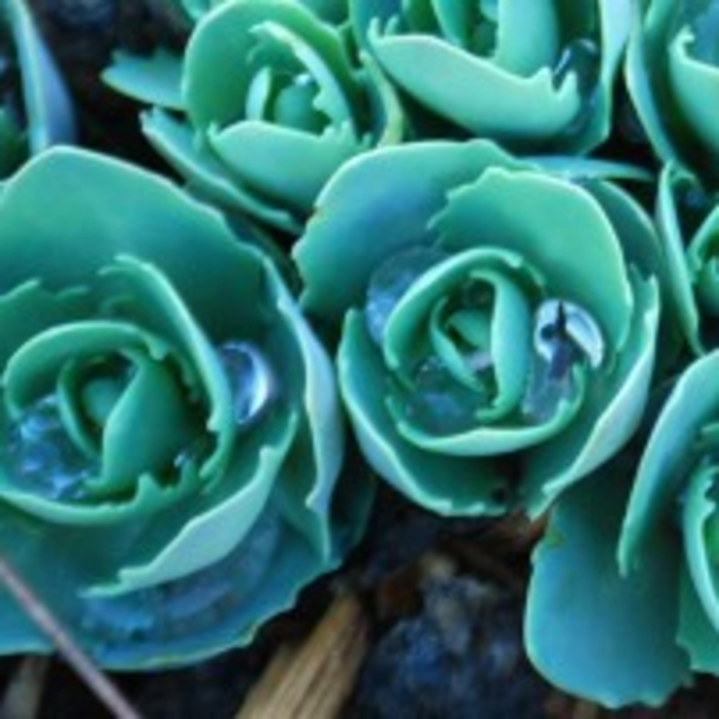 How are you feeling?