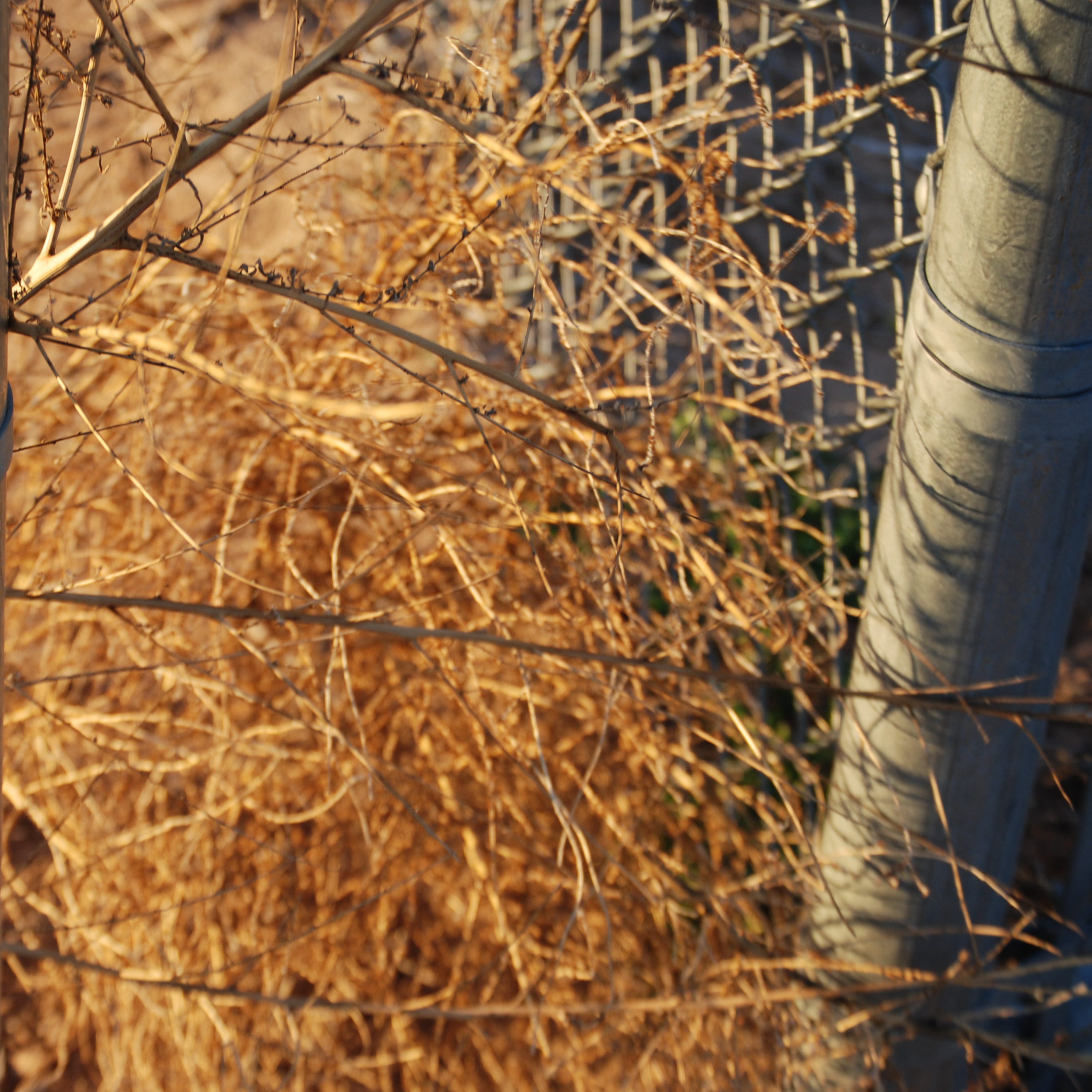 How are you feeling?