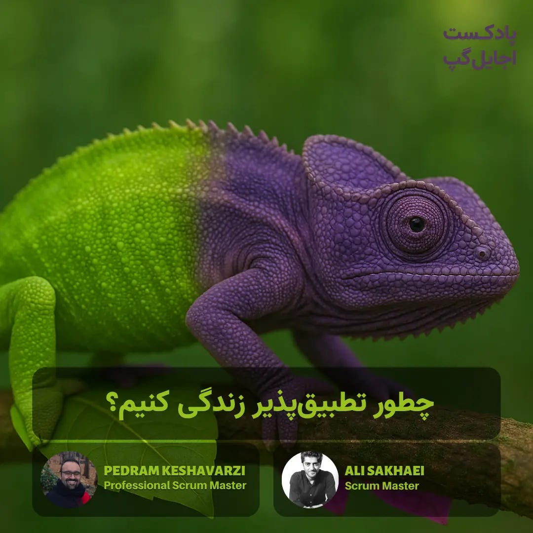 چطور تطبیق‌پذیر زندگی کنیم؟ با علی سخایی و پدرام کشاورزی