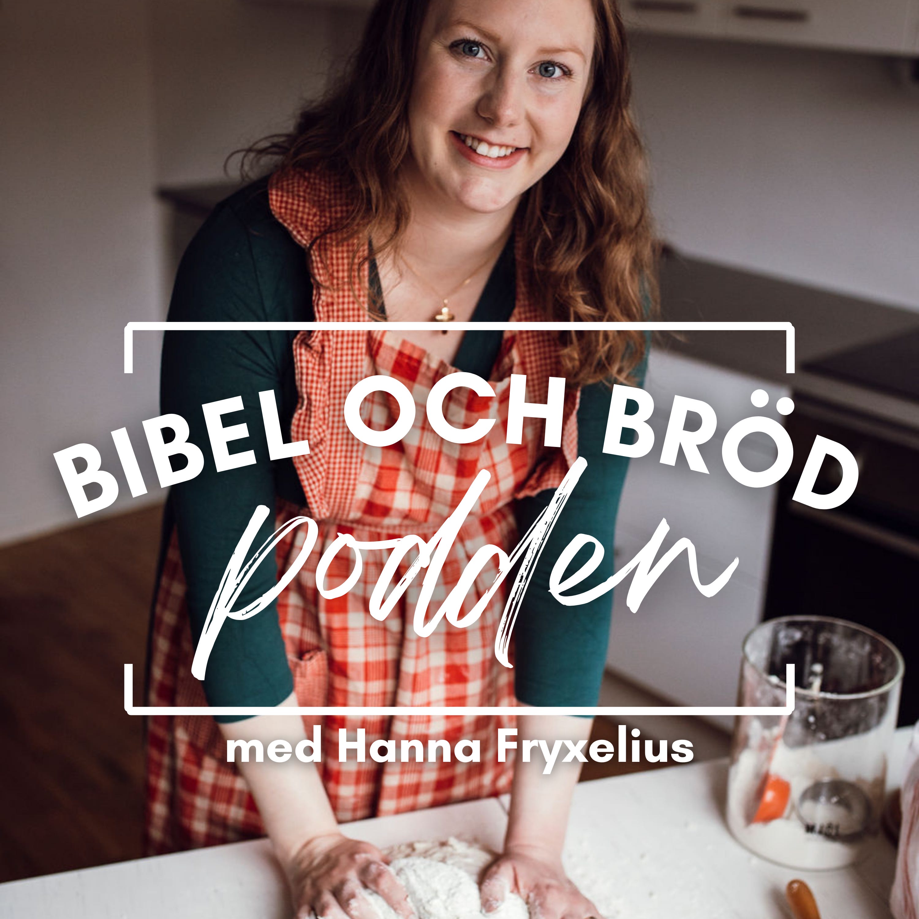 #2 Från pastor till hemmafru episode artwork