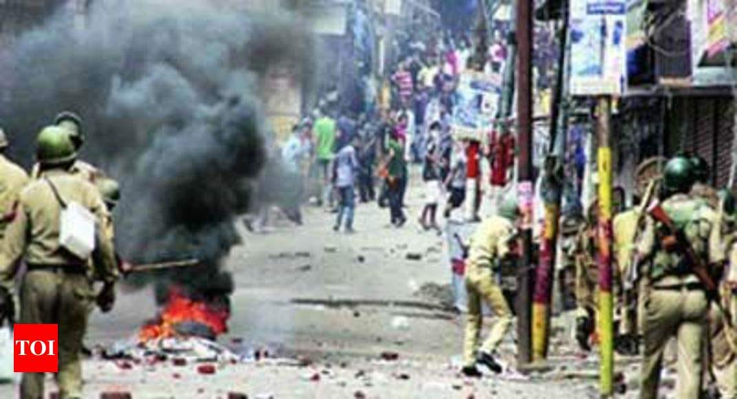 Shadow Warrior by Rajeev Srinivasan