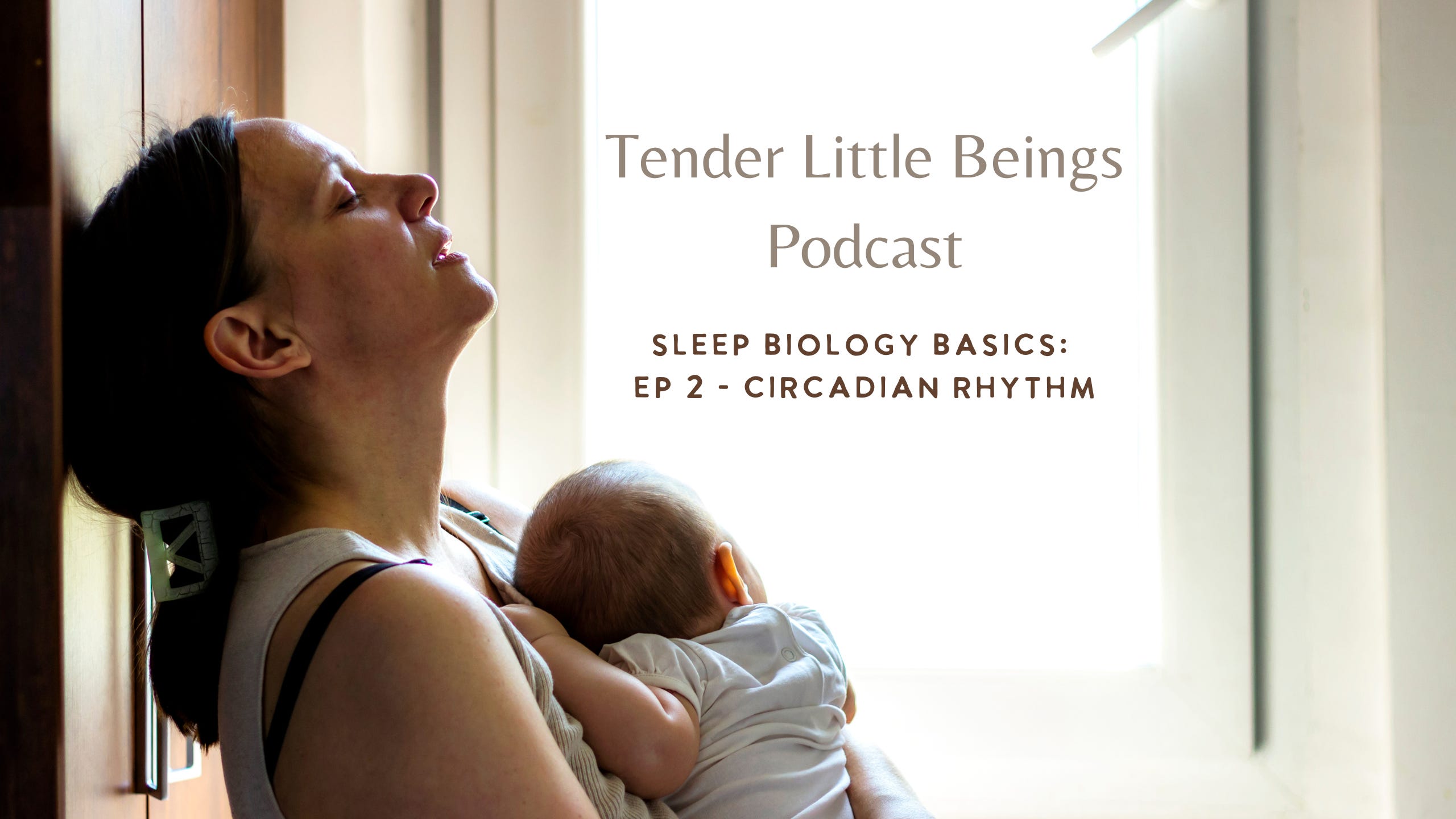 Sleep Biology Basics: Ep 2 - Circadian Rhthm episode artwork