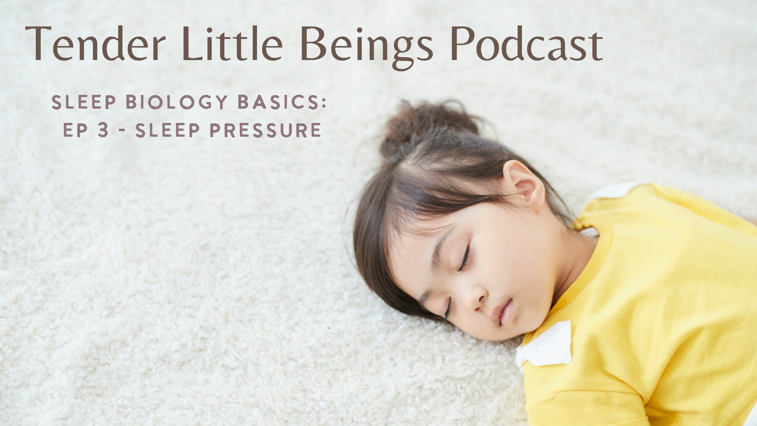 Sleep Biology Basics: Ep 3 - Sleep Pressure episode artwork