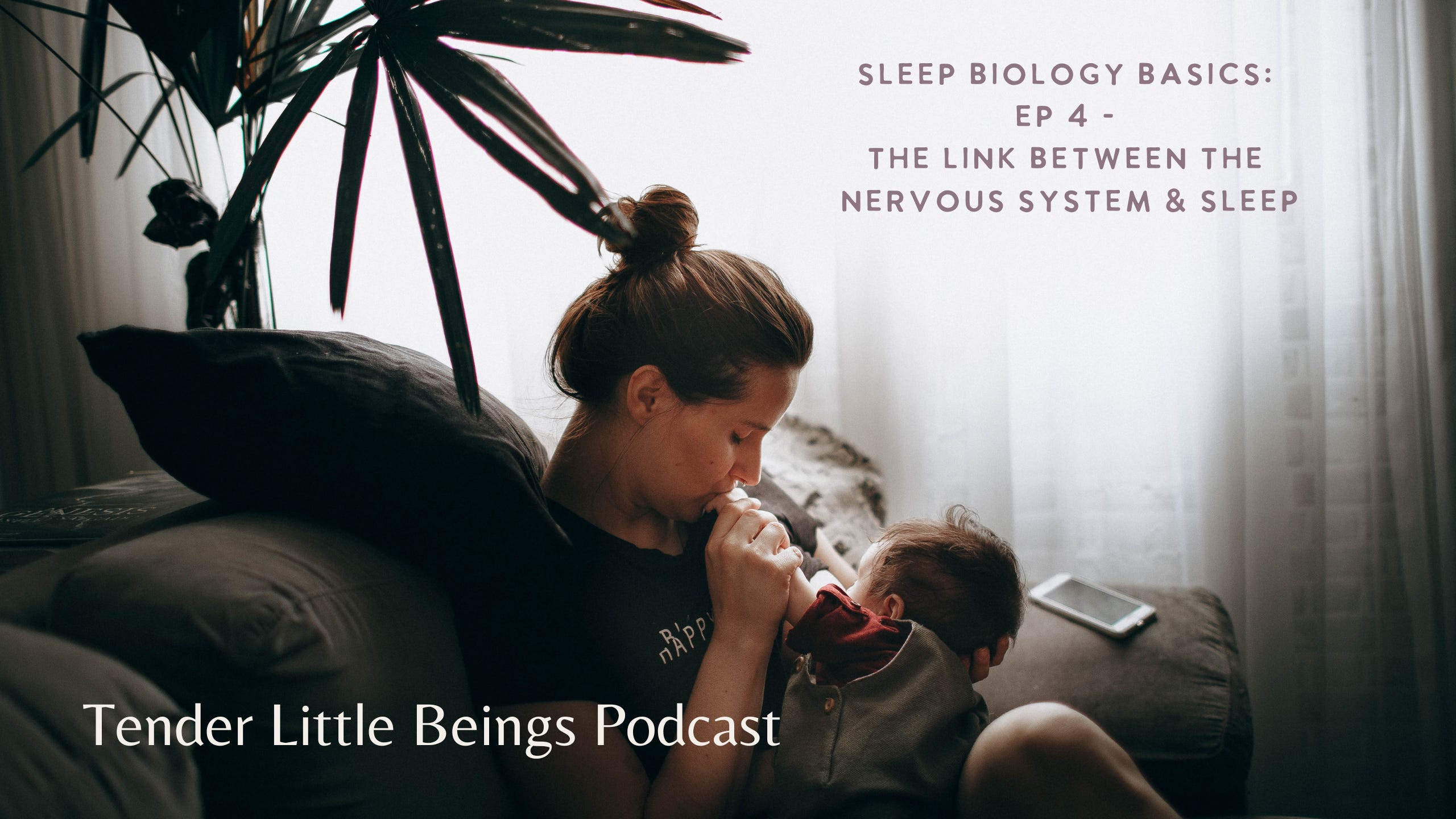 Sleep Biology Basics: Ep 4 - The link between the nervous system & sleep episode artwork