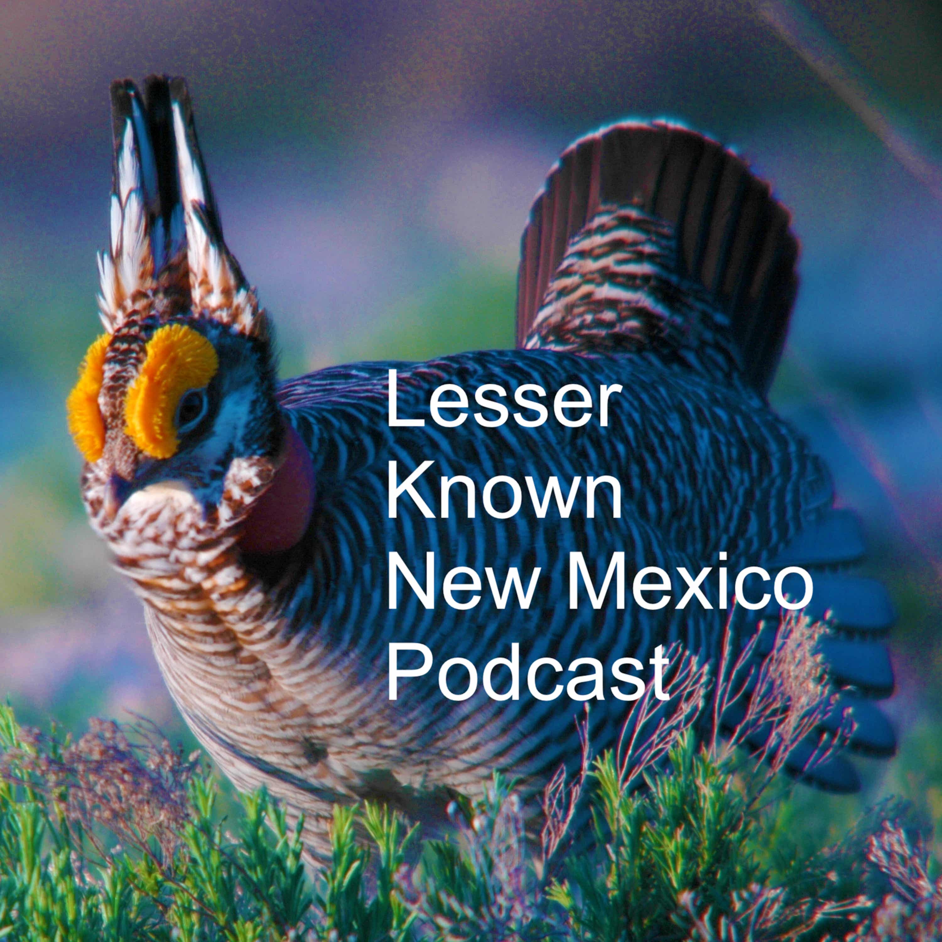 Lesser Known New Mexico Podcast