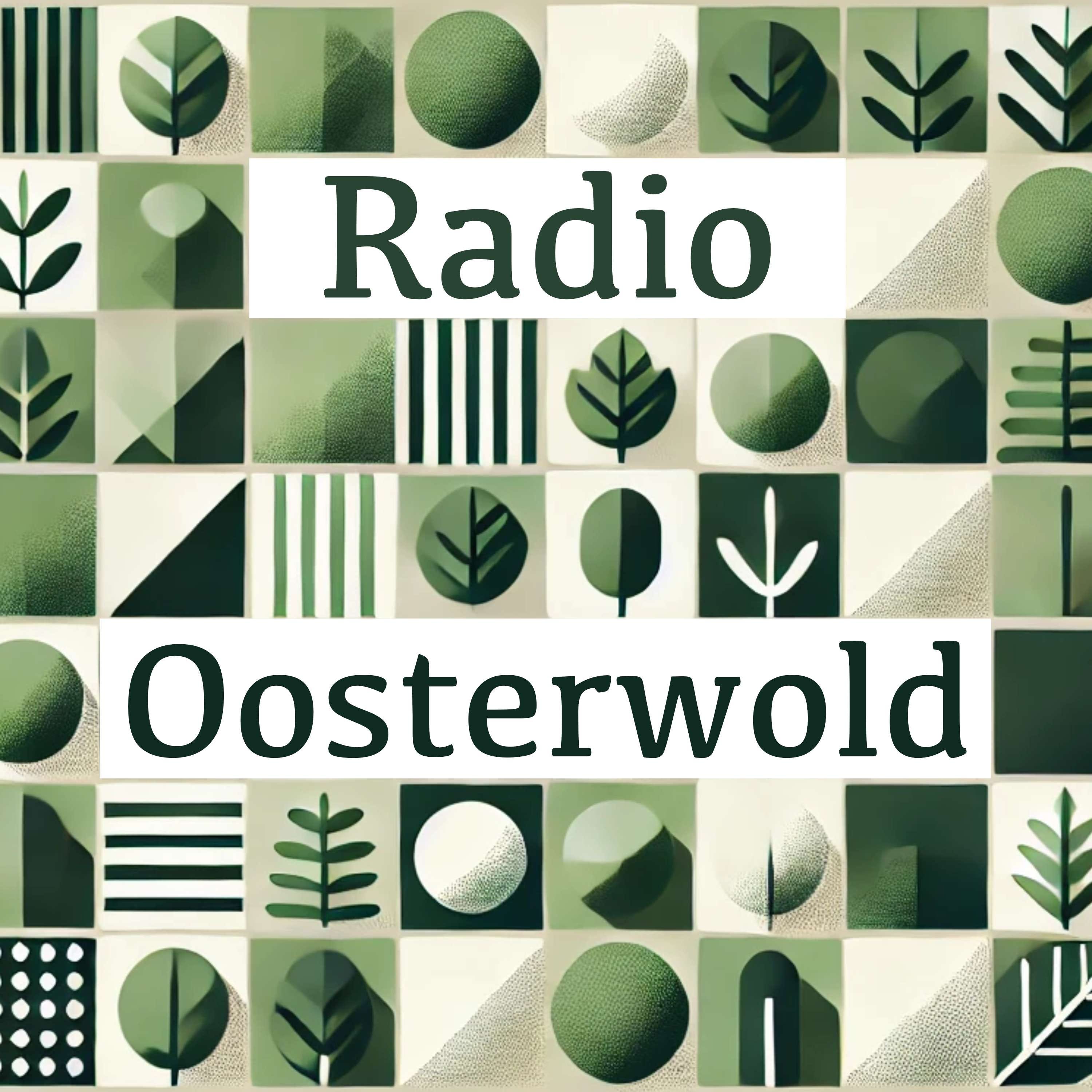 #29 Cultuur in de polder: Joost Conijn draait eigenwijs aan de toekomst van Oosterwold episode artwork