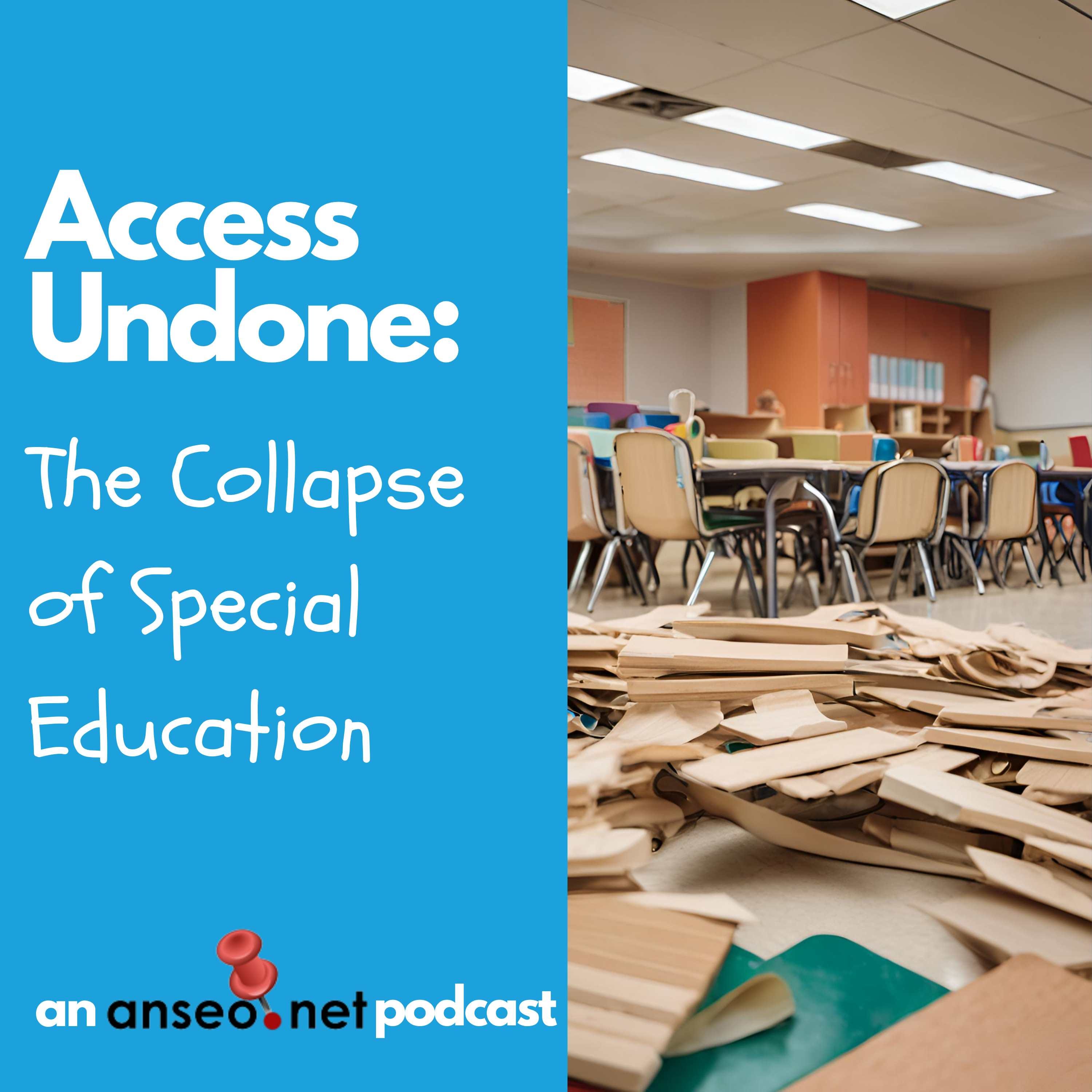 Access Undone: The Collapse of Special Education [Episode 5]