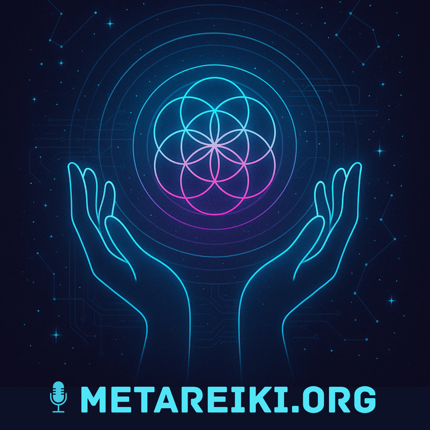 Meta Reiki Podcast