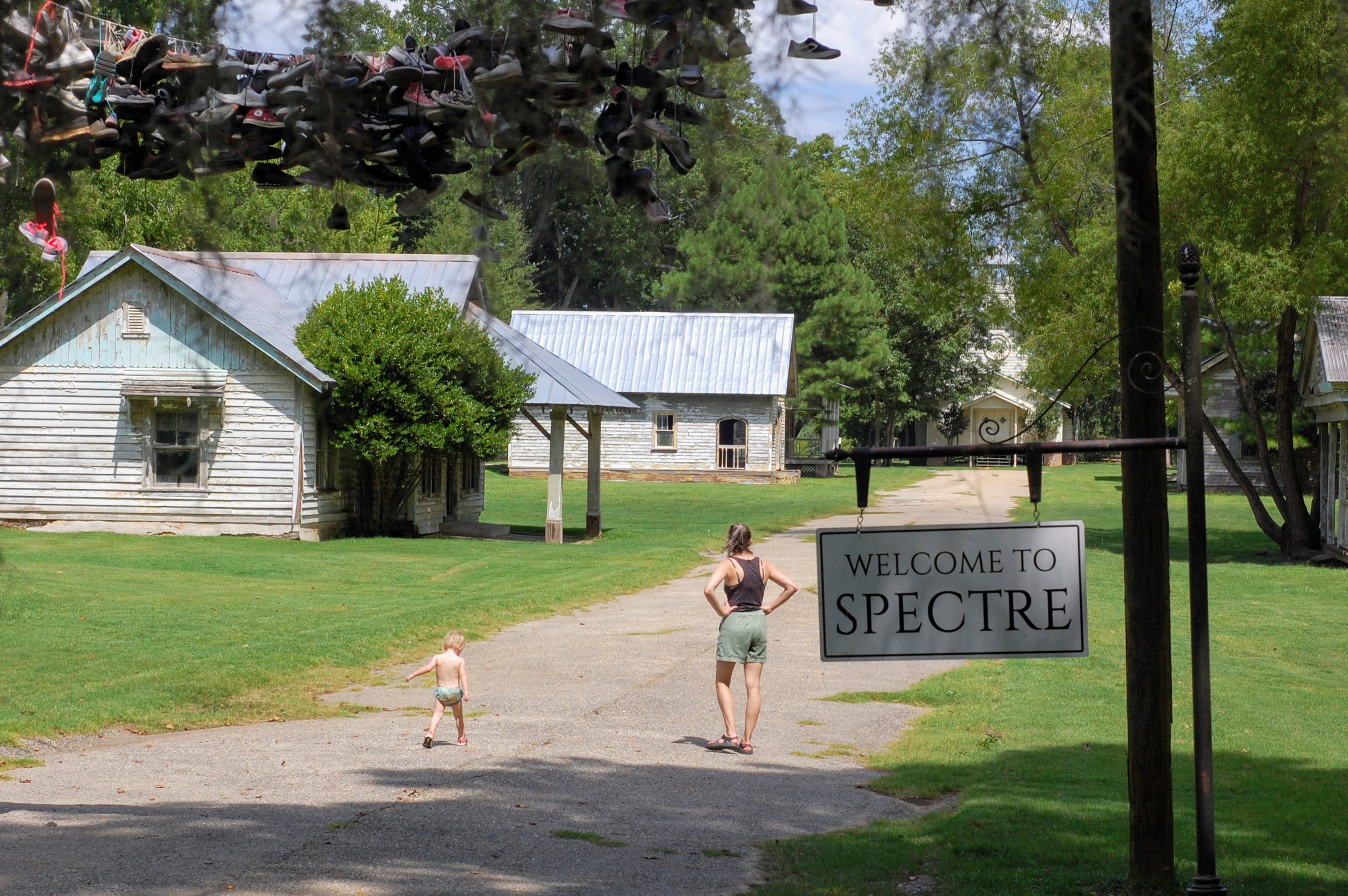 #4: Jackson Lake Island and Corn Creek Park