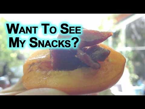 Want To See My Snacks? [Happy Food Eating ASMR] episode artwork