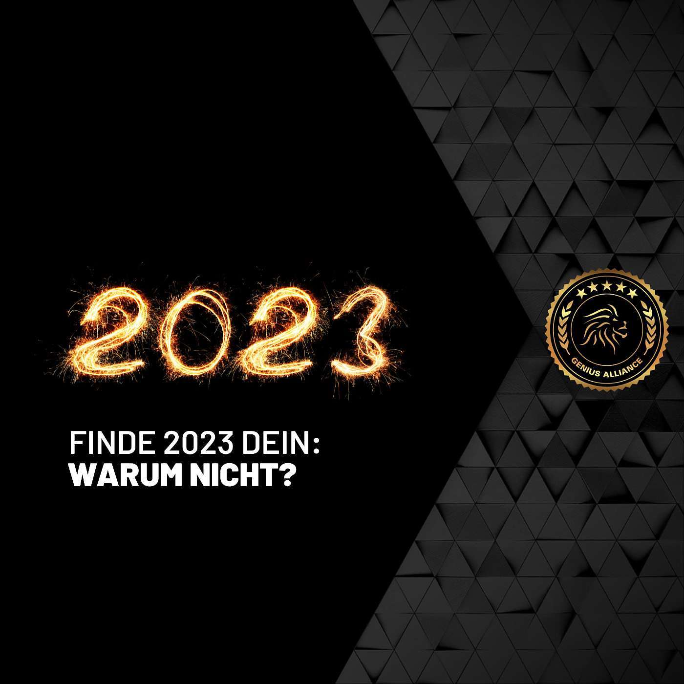 Finde dein: Warum nicht?
