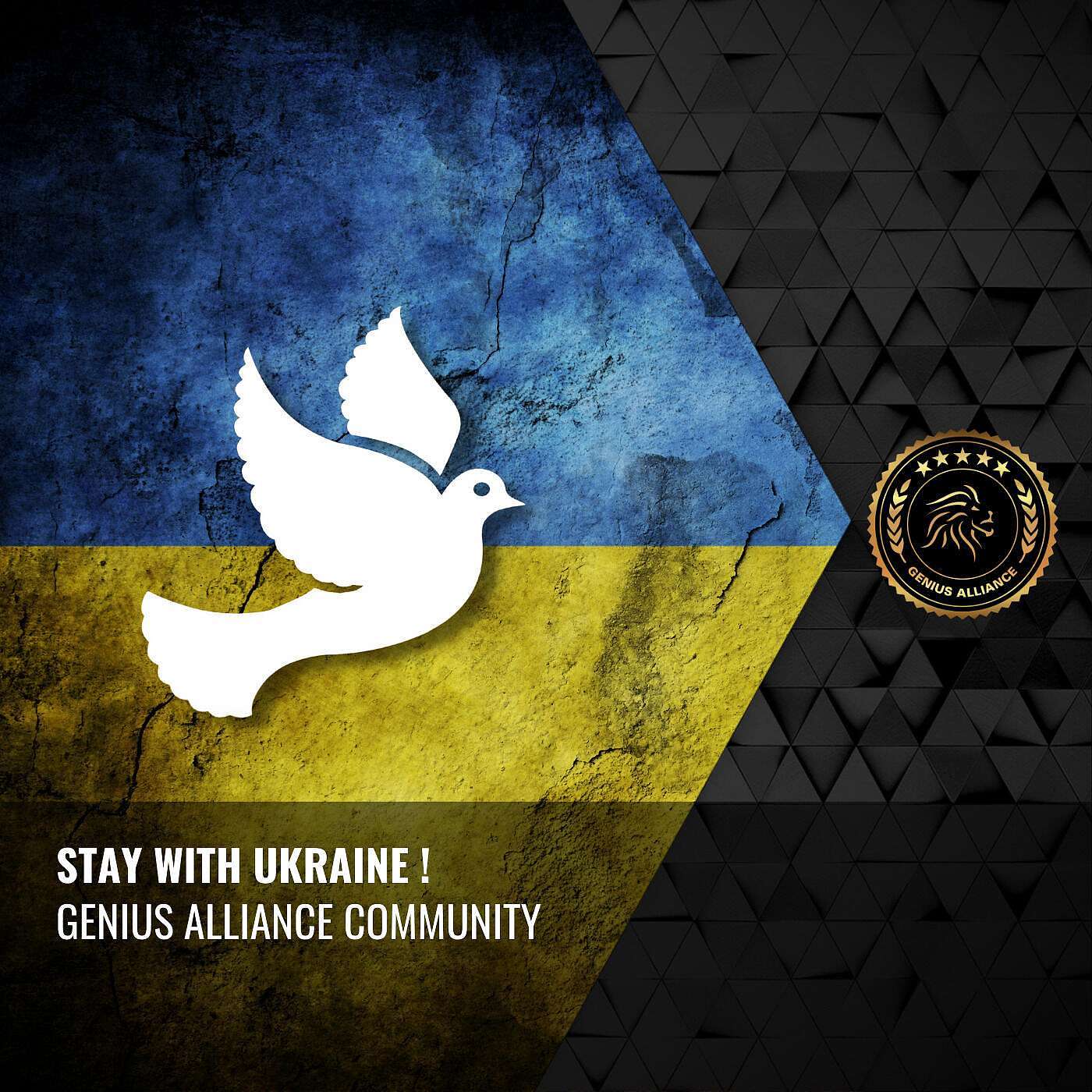 STAY WITH UKRAINE !