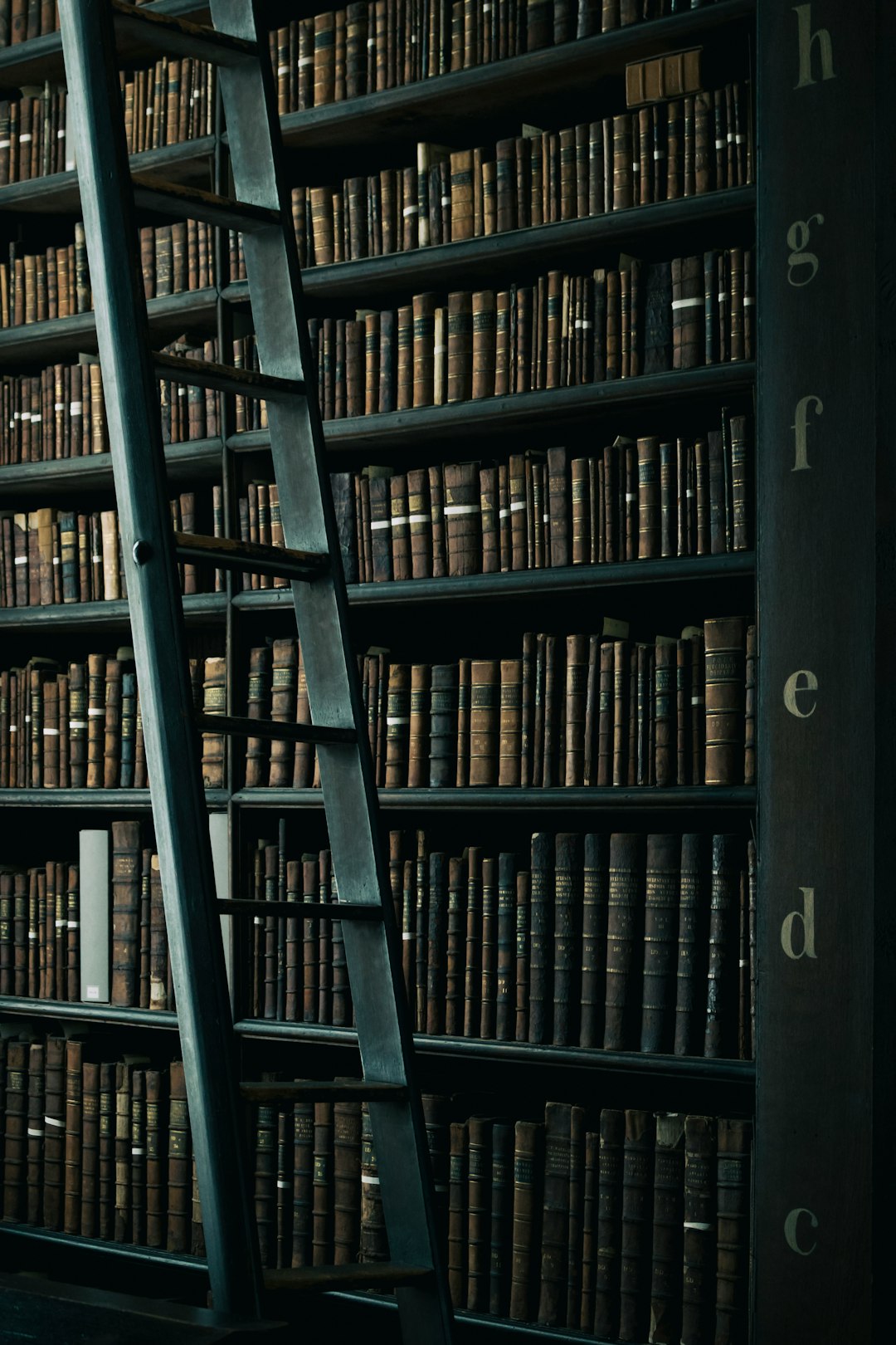 Books, glorious books! episode artwork