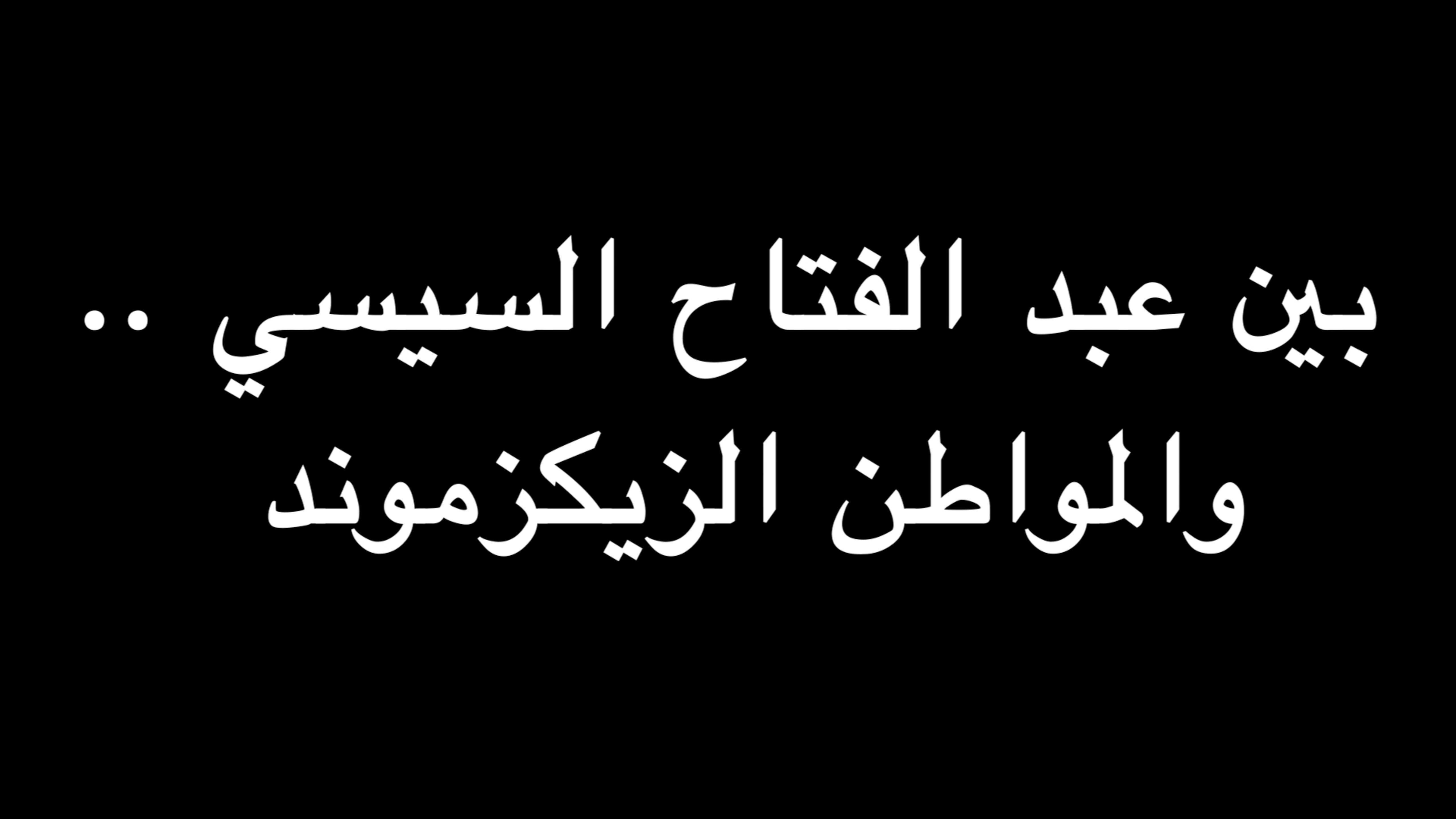  بين عبد الفتاح السيسي .. والمواطن الزيكزموند | ندوة د. علاء الأسواني  episode artwork