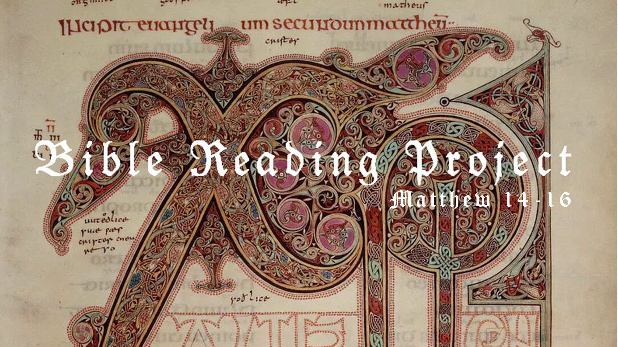 8. Matthew 14-16 episode artwork